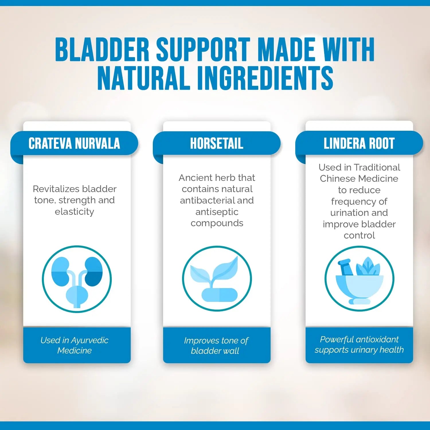 Better Bladder Control Supplement for Women & Men – Bladder Support Supplement to Help Reduce Urinary Leaks, Frequency & Urgency - 60 Count (1 Bottle) Better Bladder uk supplements