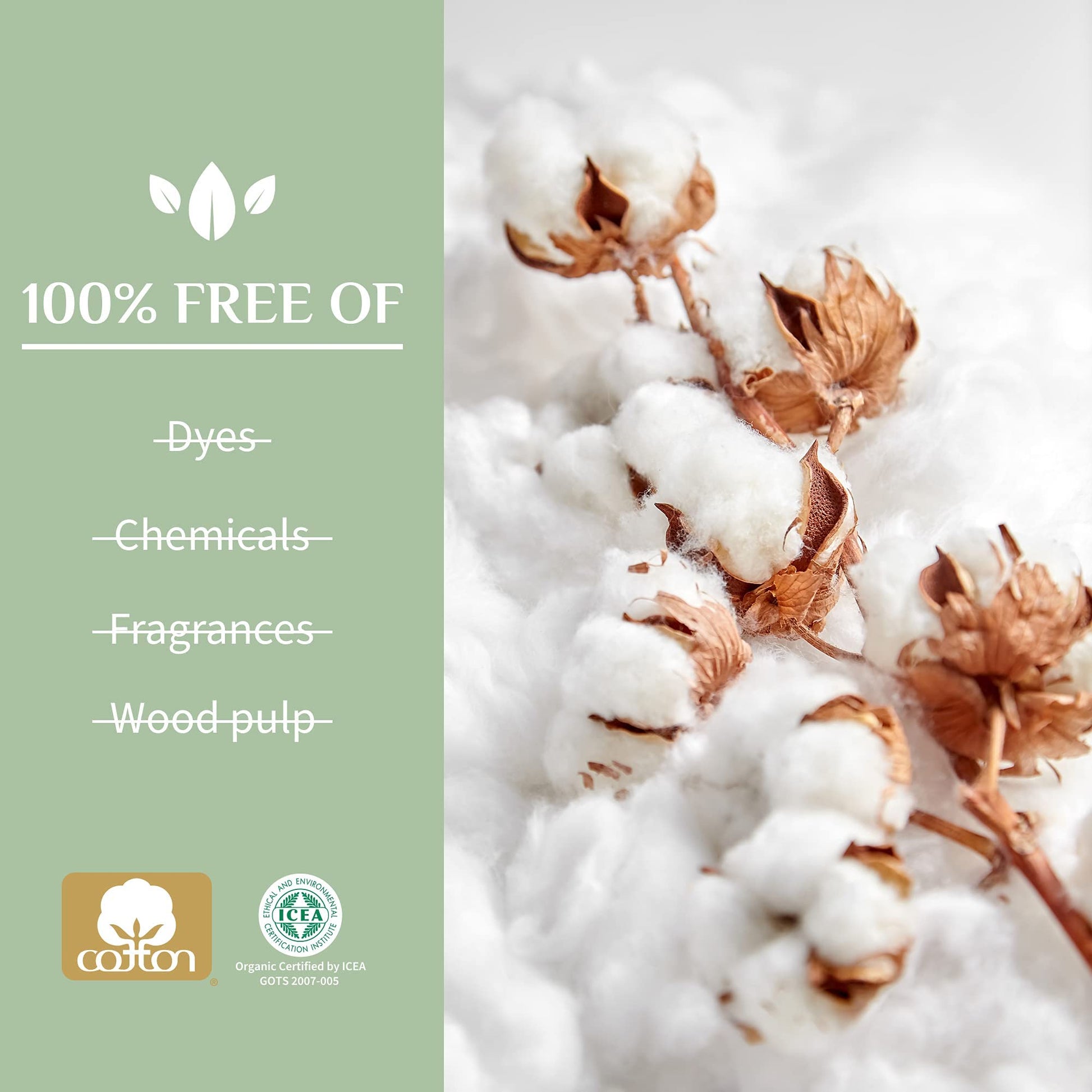 Organyc 100% Organic Cotton Light Incontinence Liners for Bladder Leakage Control Organyc uk supplements