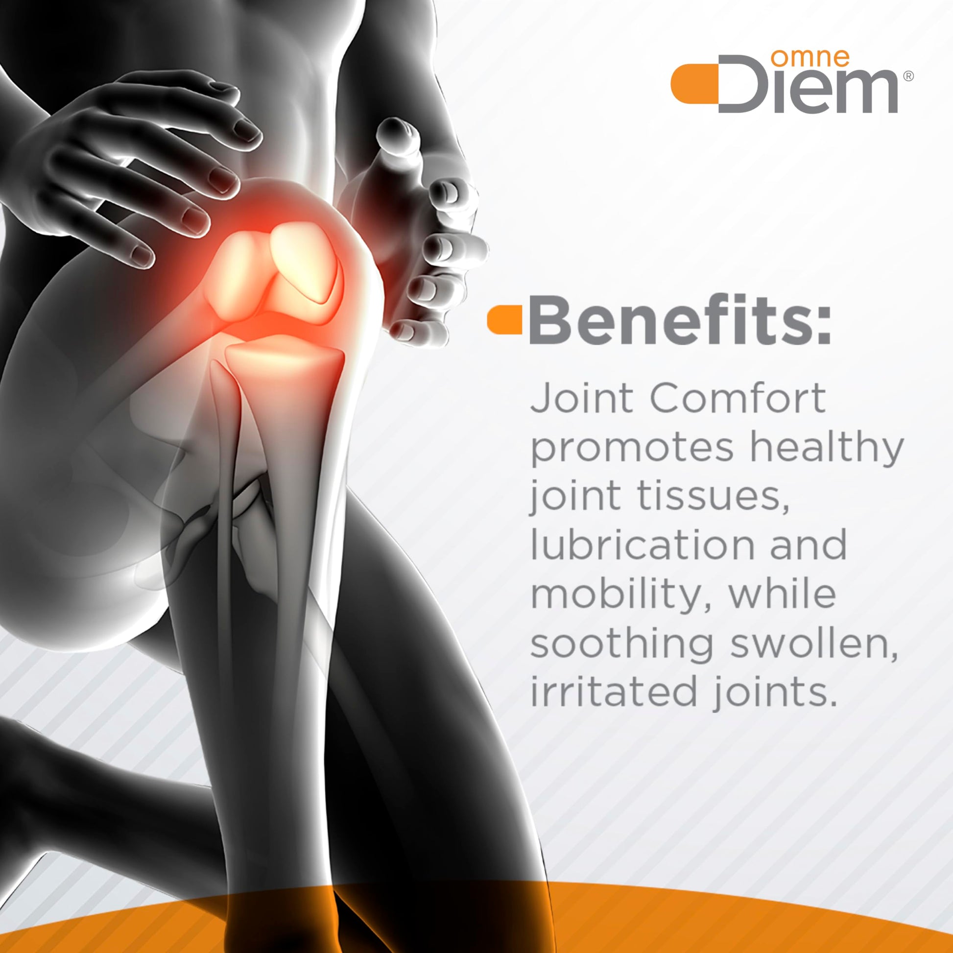 OmneDiem Joint Comfort with ZOARA, 60 Capsules – Dietary Supplement for Comprehensive Joint Care & Comfort Omne Diem uk supplements