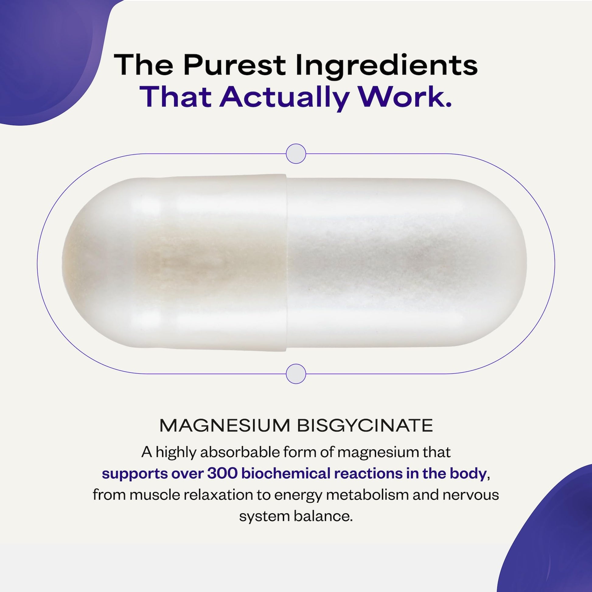 Suppgrade Labs Magnesium 101 by Dave Asprey | Daily Support for Sleep, Metabolism, Relaxation, & Heart Health | 300 mg Chelated Magnesium Bisglycinate | High Absorption Magnesium | 30 Day Supply Suppgrade Labs uk supplements