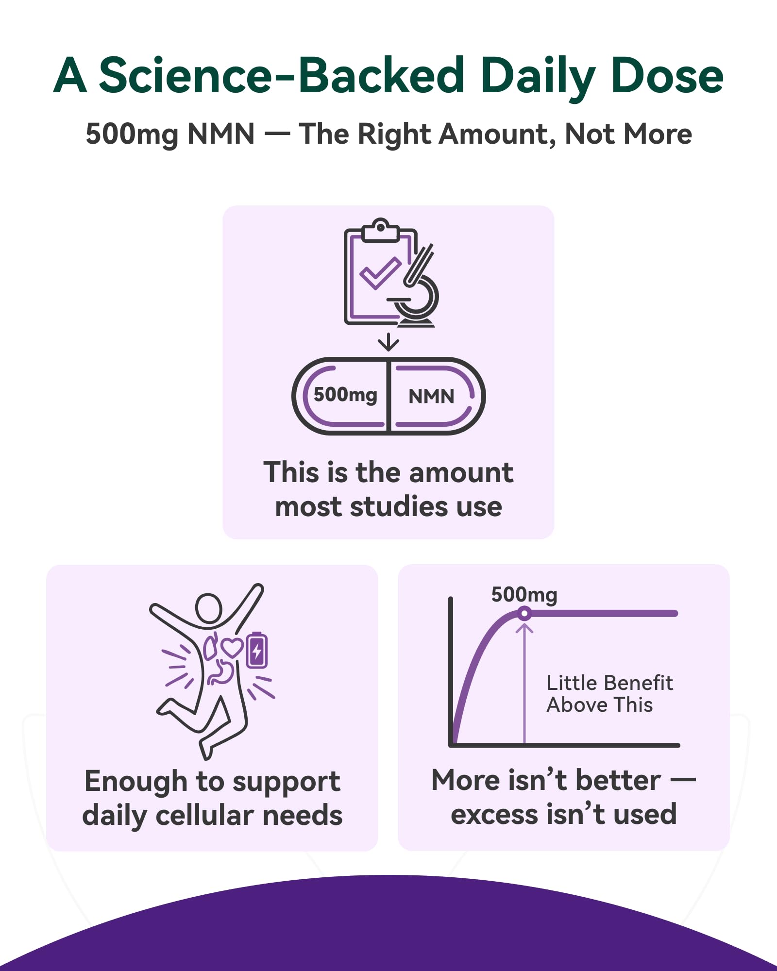 Inner Brightness NMN Supplement 500mg, 99.9% High Purity, Supports NAD+ Levels & Cellular Energy, 5-in-1 Formula with Resveratrol & Astaxanthin, Non-GMO, Gluten-Free, 60 Capsules Inner Brightness uk supplements