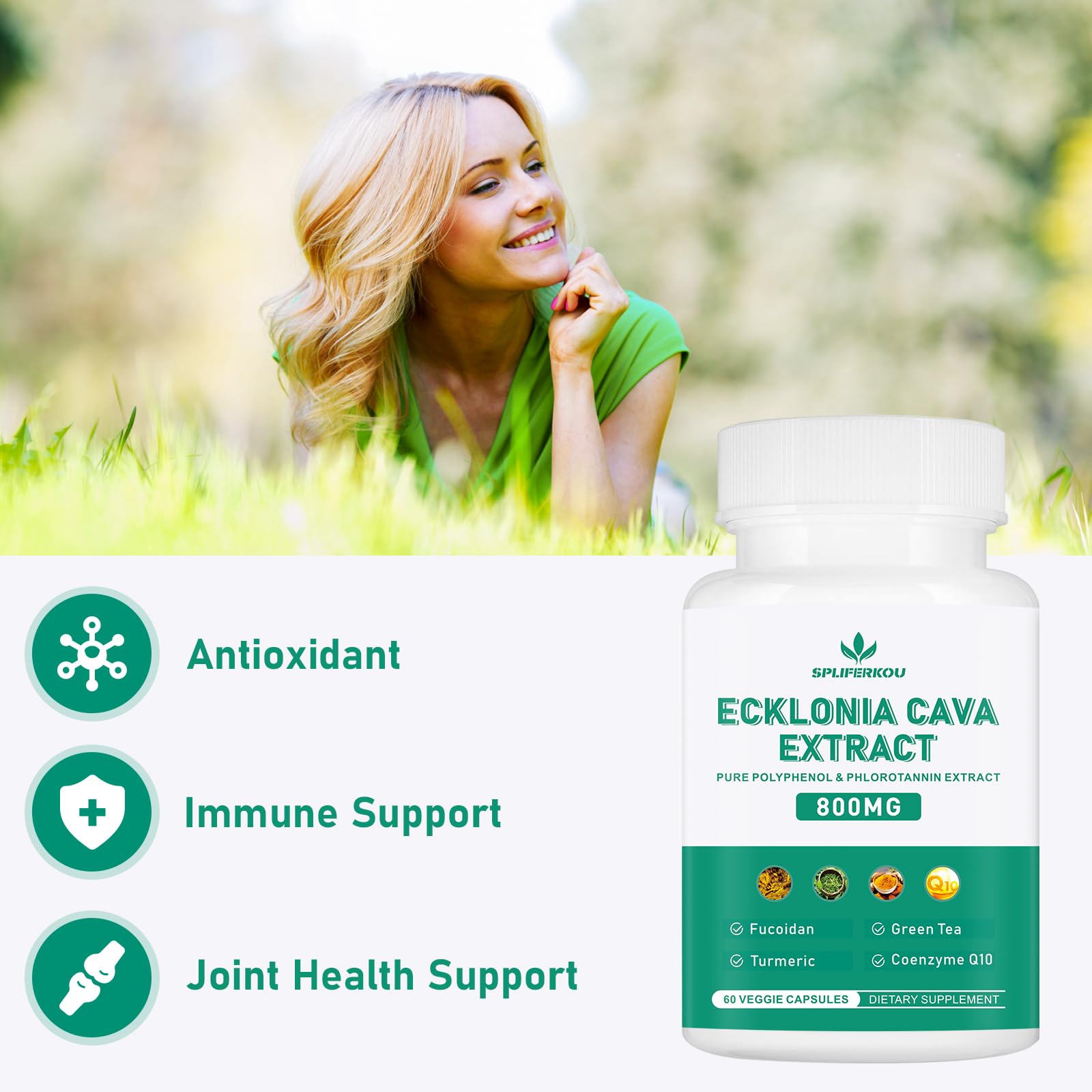 Spliferikou Ecklonia Cava Extract, 800mg, 60 Veggie Capsules with Fucoidan, Green Tea, Turmeric, CoQ10, Dietary Supplement Spliferkou uk supplements