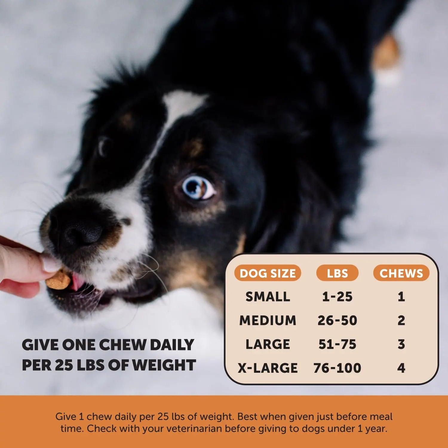 Pet Honesty Hip & Joint Health Max Strength – Dog Joint Support Chews with Glucosamine Chondroitin & Omega-3s – Joint Supplement for Dogs to Support Mobility, Flexibility & Comfort – Bacon (90 ct) Pet Honesty uk supplements