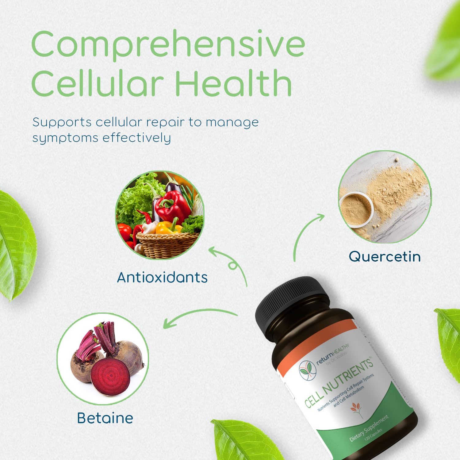 Return Healthy Cell Nutrients | Promotes Cell and Membrane Repair & Cell Metabolism | Helps Fight Tick-Borne Infections & More | Mitochondrial Supplements | Non-GMO, Vegan, 120 caps Return Healthy uk supplements