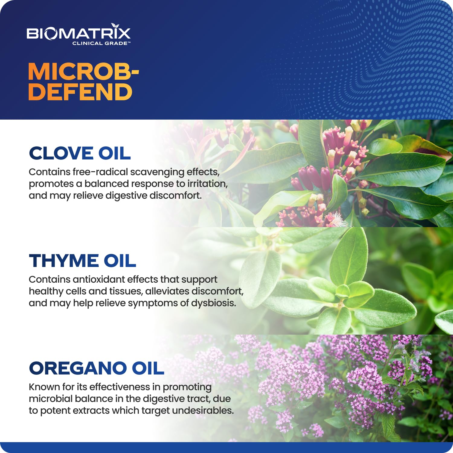 BioMatrix Biofilm Disruptor, GI Repair Digestive Supplement for Men and Women, Oil of Thyme, Oregano & Clove, Gut Microbiome & Intestinal Health Support | Microb-Defend (90 Softgels) BioMatrix uk supplements