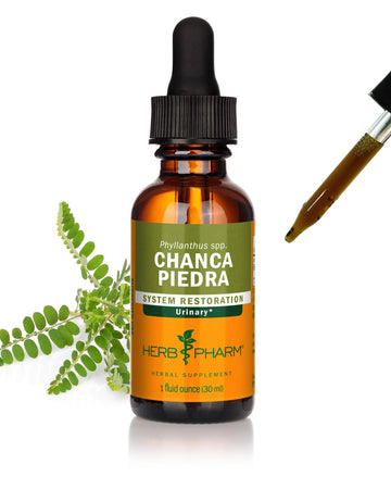 Herb Pharm Chanca Piedra Liquid Extract for Urinary System Support, 1 Fl Oz Herb Pharm uk supplements