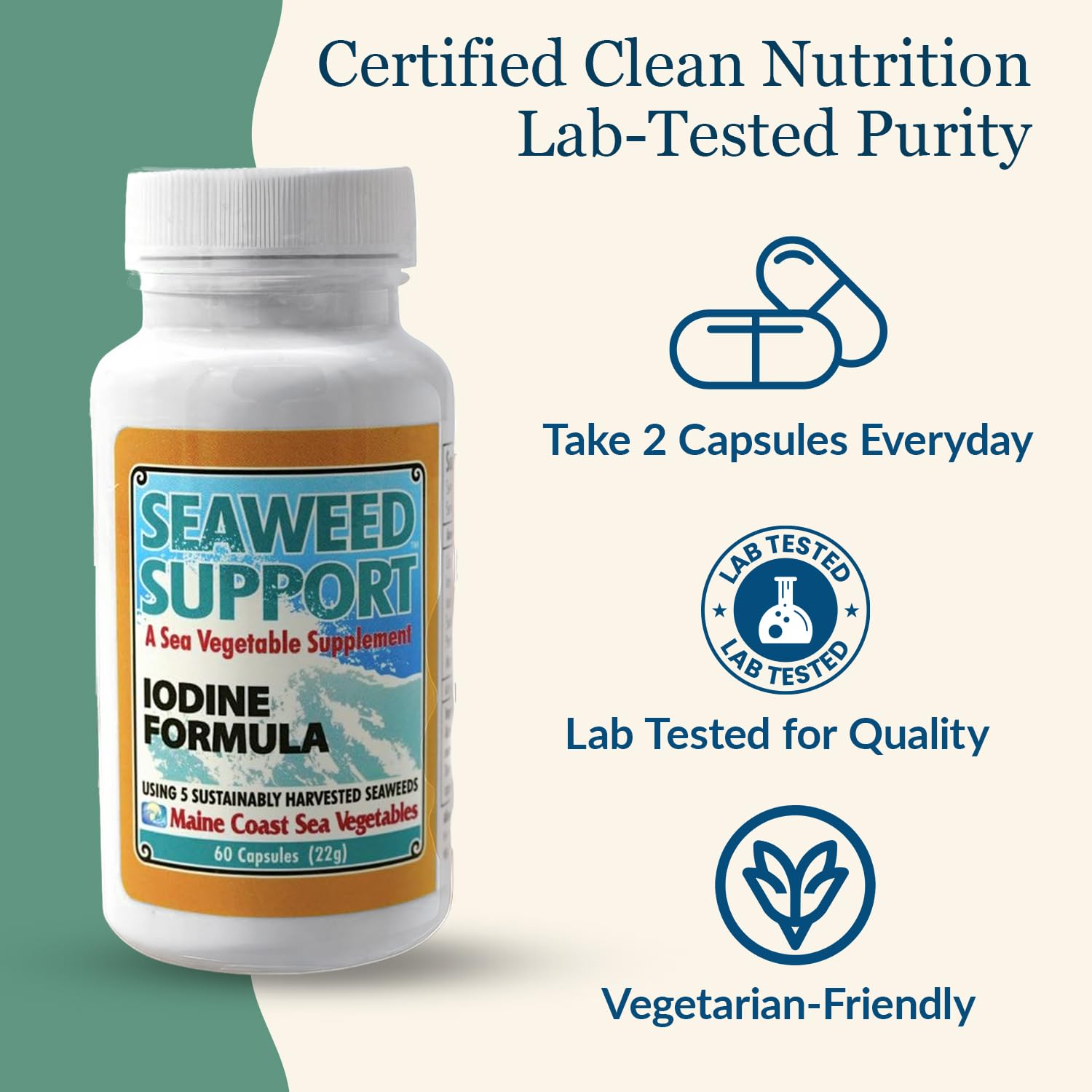 Maine Coast Sea Vegetables Seaweed Support Iodine Formula | Source of Iodine from Seaweed | Daily Use Iodine Supplement | Organic Alaria, Rockweed, Sea Lettuce, Dulse & Bladderwrack blend | 60 Capsule Maine Coast Sea Vegetables uk supplements
