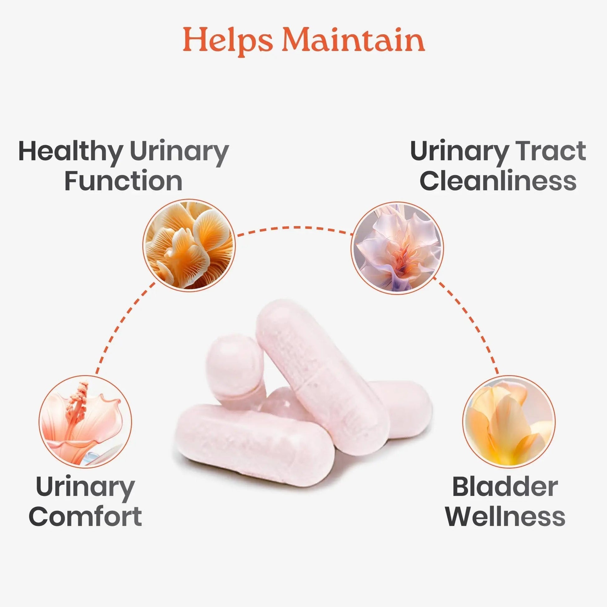 NewLife Naturals D-Mannose Capsules | w/Cranberry and Hibiscus Extracts | Natural Urinary Tract Health Supplement | 1400mg Pure Veggie Powder | 60 Veggie Capsules NewLife Naturals uk supplements