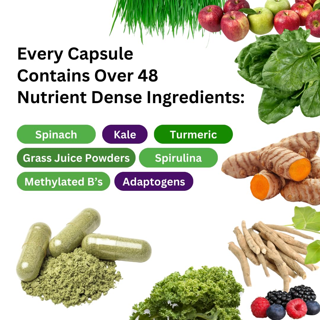 Paradise Herbs Earth's Blend Once Daily Multivitamin & B-Complex Bundle Paradise Herbs uk supplements