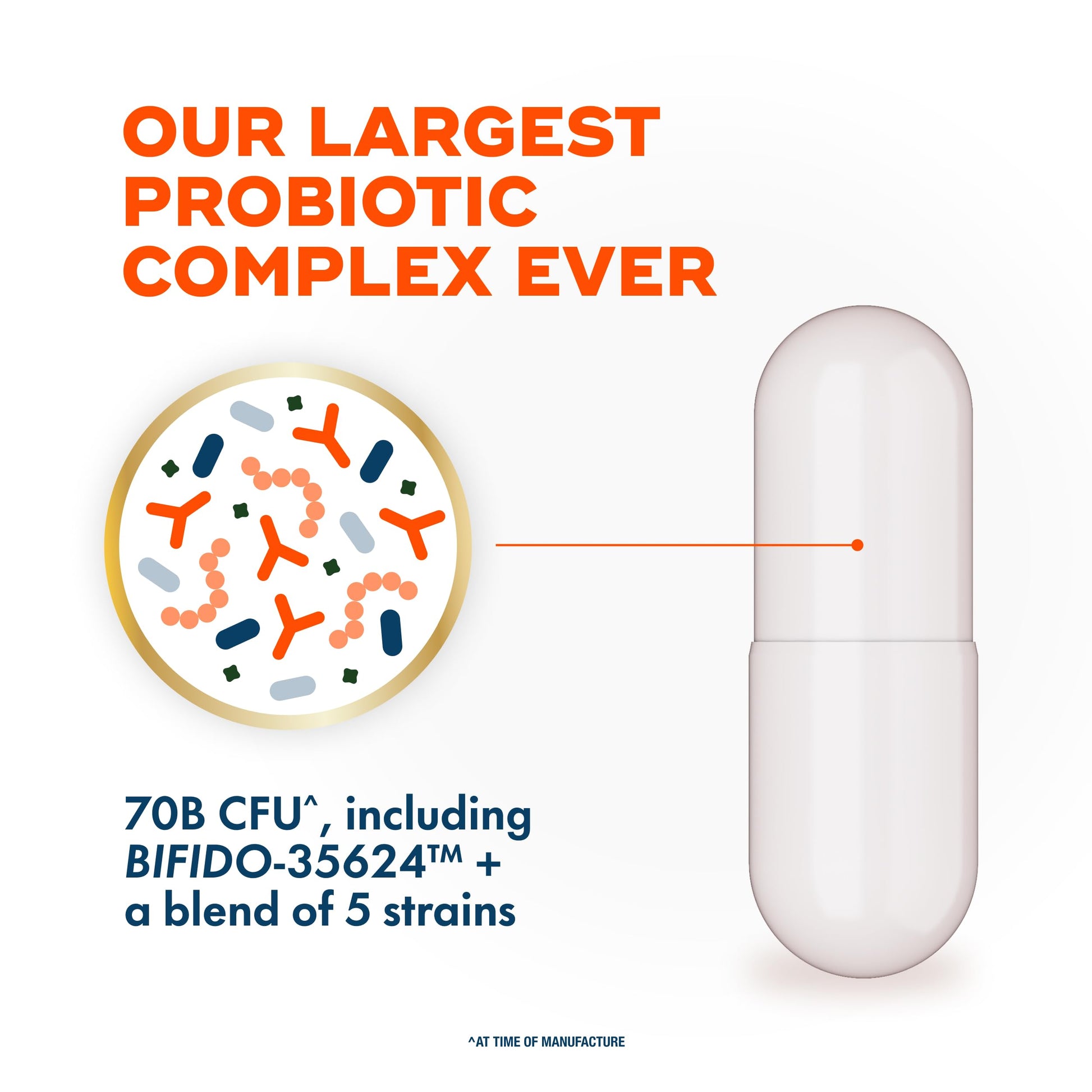 Align Probiotic, 70 Billion CFU, 6 Strain Blend, Probiotics for Women and Men, Daily Probiotics for Digestive Health, Helps Relieve Occasional Bloating & Gas 30 Capsules Align uk supplements