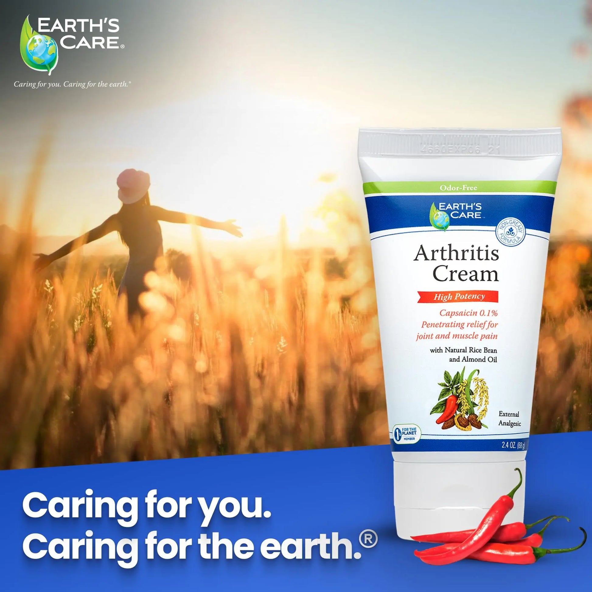 Earth's Care Arthritis Cream - Joint Cream with Natural Capsaicin - Topical Analgesic 2.4 OZ (Pack of 2) Earth's Care uk supplements