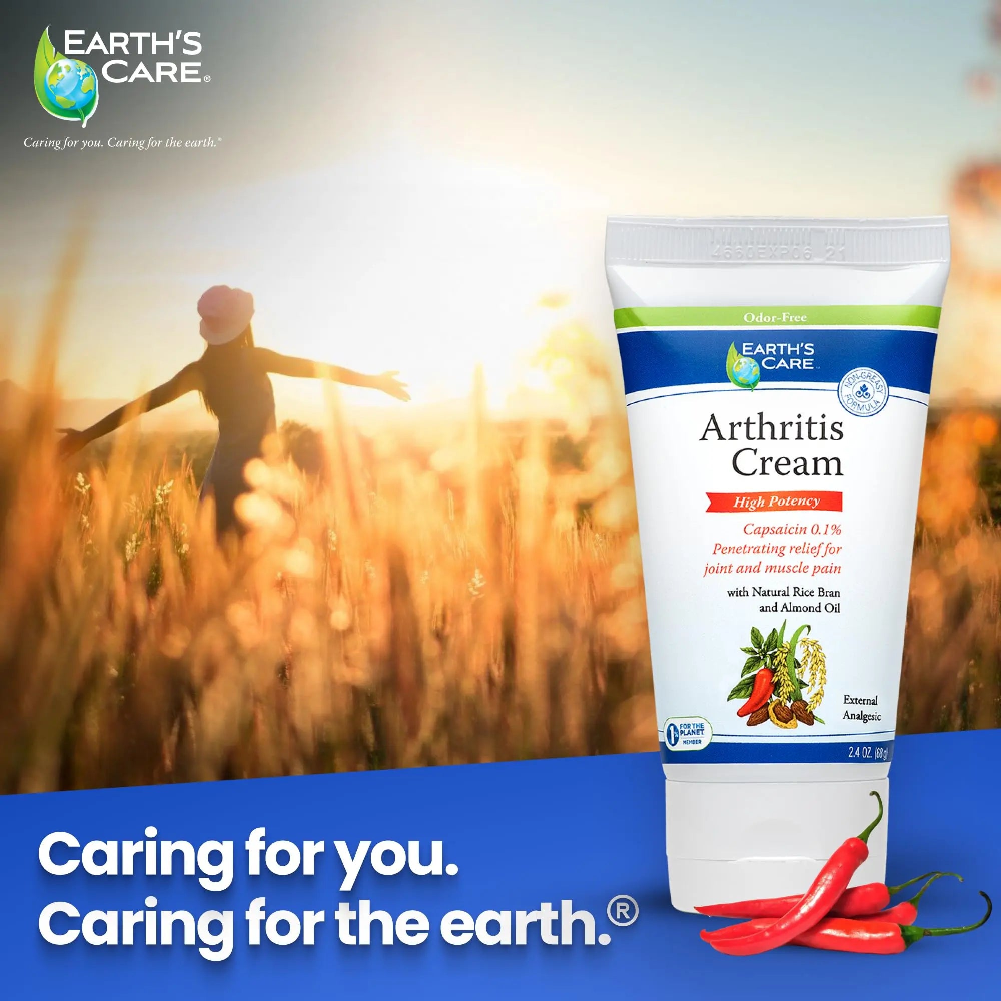 Earth's Care Arthritis Cream - Joint Cream with Natural Capsaicin - Topical Analgesic 2.4 OZ (Pack of 2) Earth's Care uk supplements