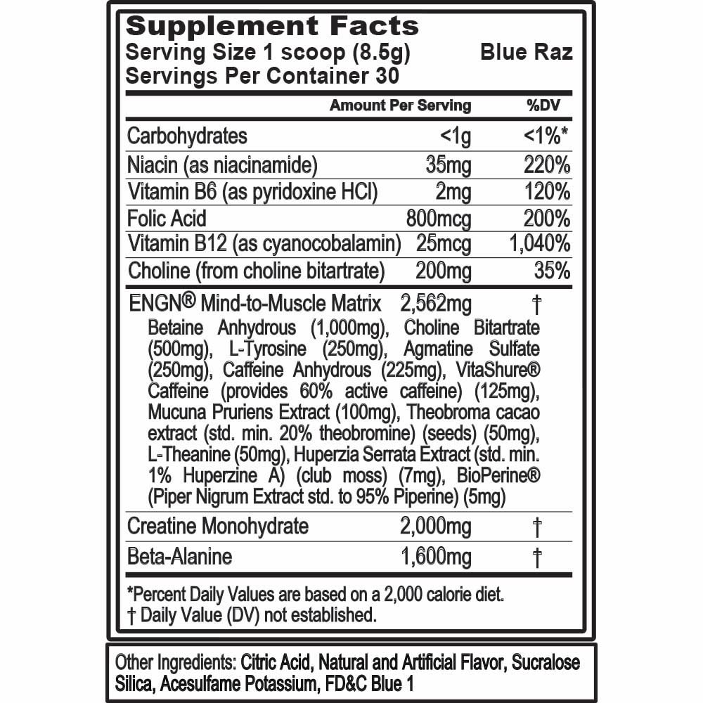 EVL Intense Pre Workout with Creatine - Pre Workout Powder Drink for Lasting Energy Focus Evlution uk supplements