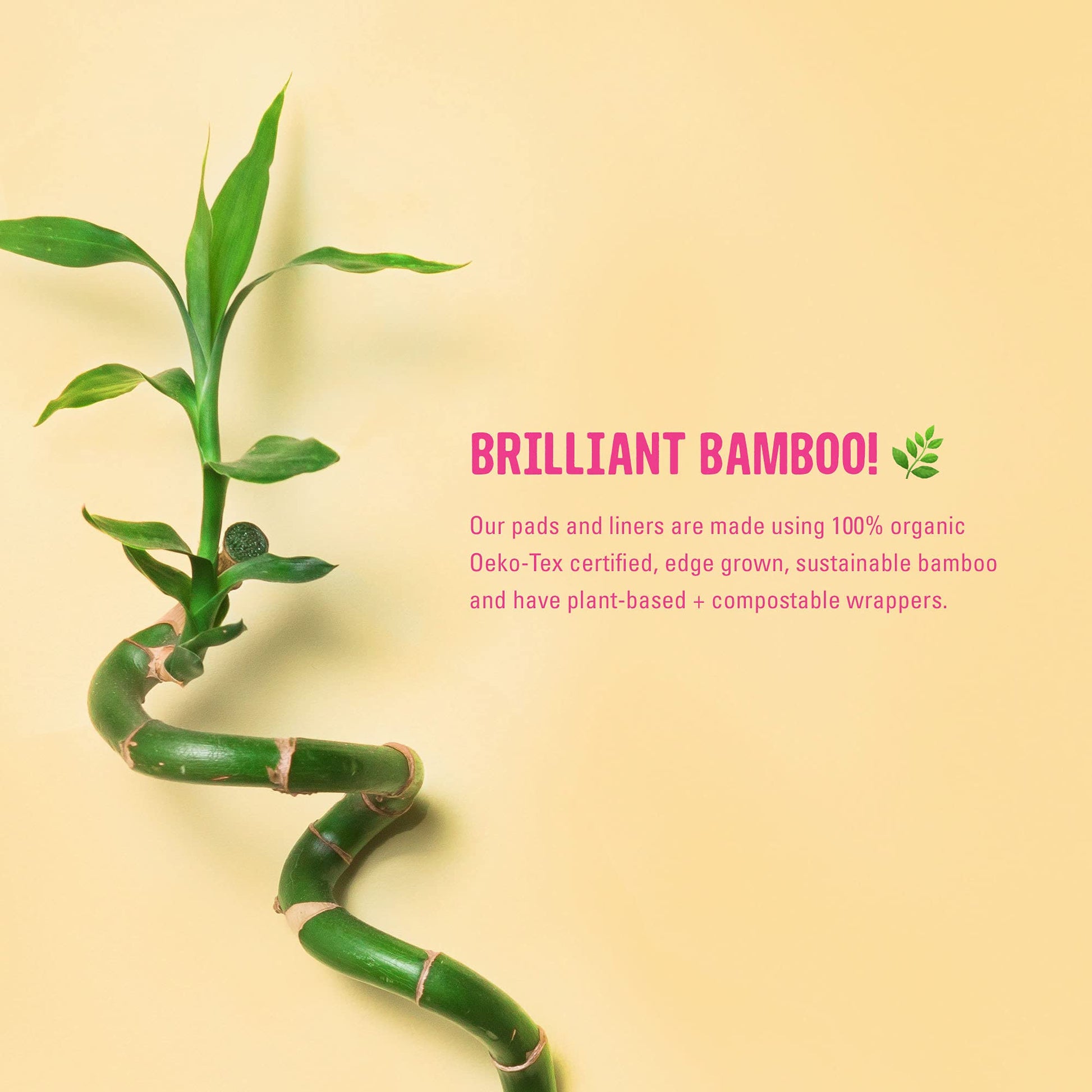 FLO - Organic Bamboo Daily Panty Liners, Plant-Based Cotton, Biodegradable FLO uk supplements