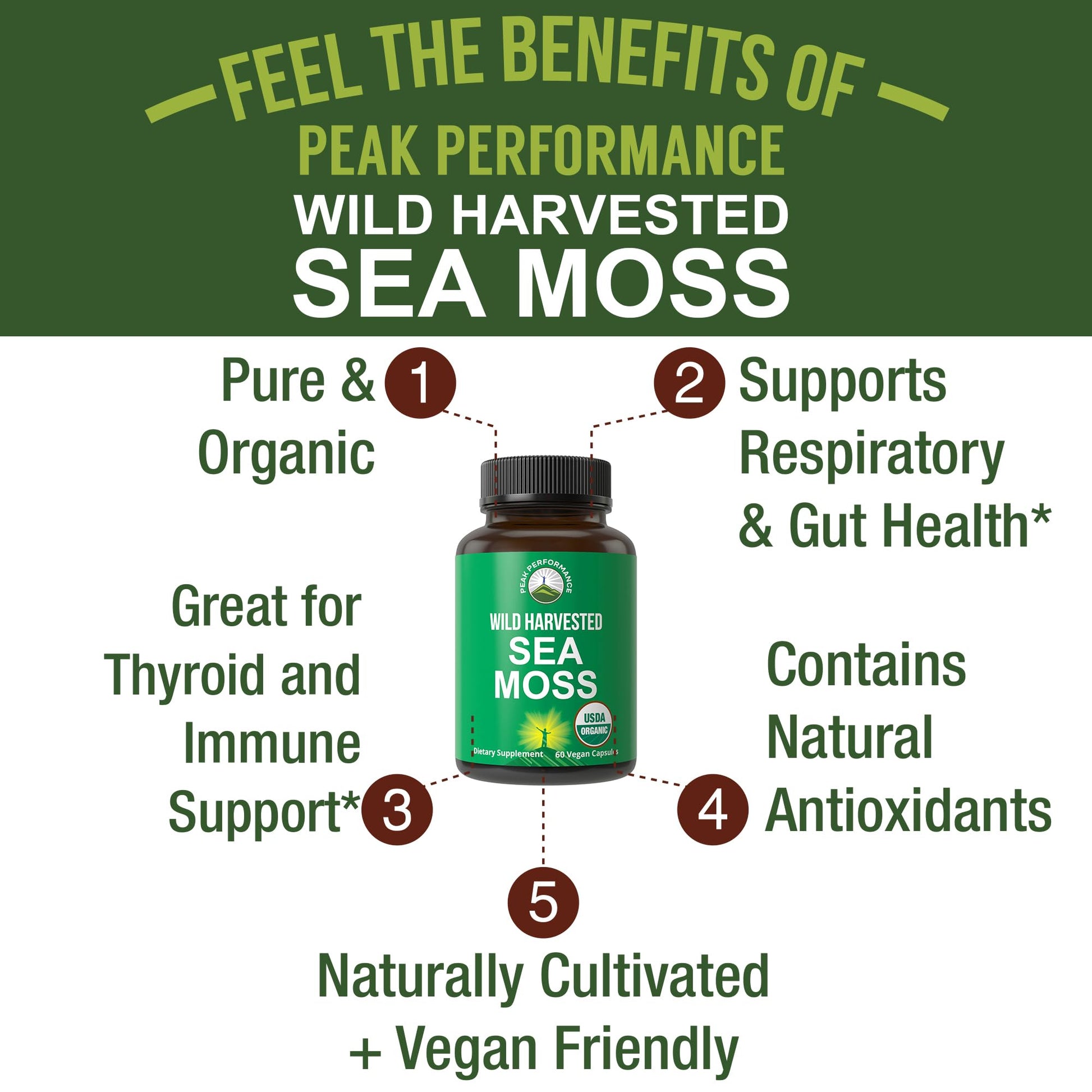 Organic Sea Moss Capsules. Wild Harvested Sea Moss Raw Organic Vegan Supplement from Red Algae Seaweed. 100% Whole Extract Raw Irish SeaMoss Superfood Pills. for Gut, Respiratory, Immune Support. Peak Performance uk supplements