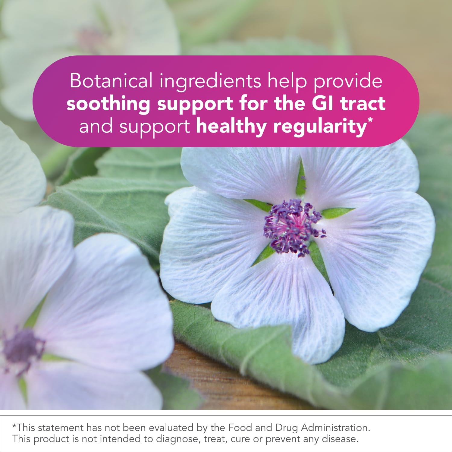 Biocidin Proflora 4R Spore Probiotic - Digestive Health Probiotics for Women & Men - Clinically Researched Bacillus Strains & Organic Aloe, Marshmallow Root for Gut Support (30 Vegan Capsules) Bio-Botanical Research uk supplements