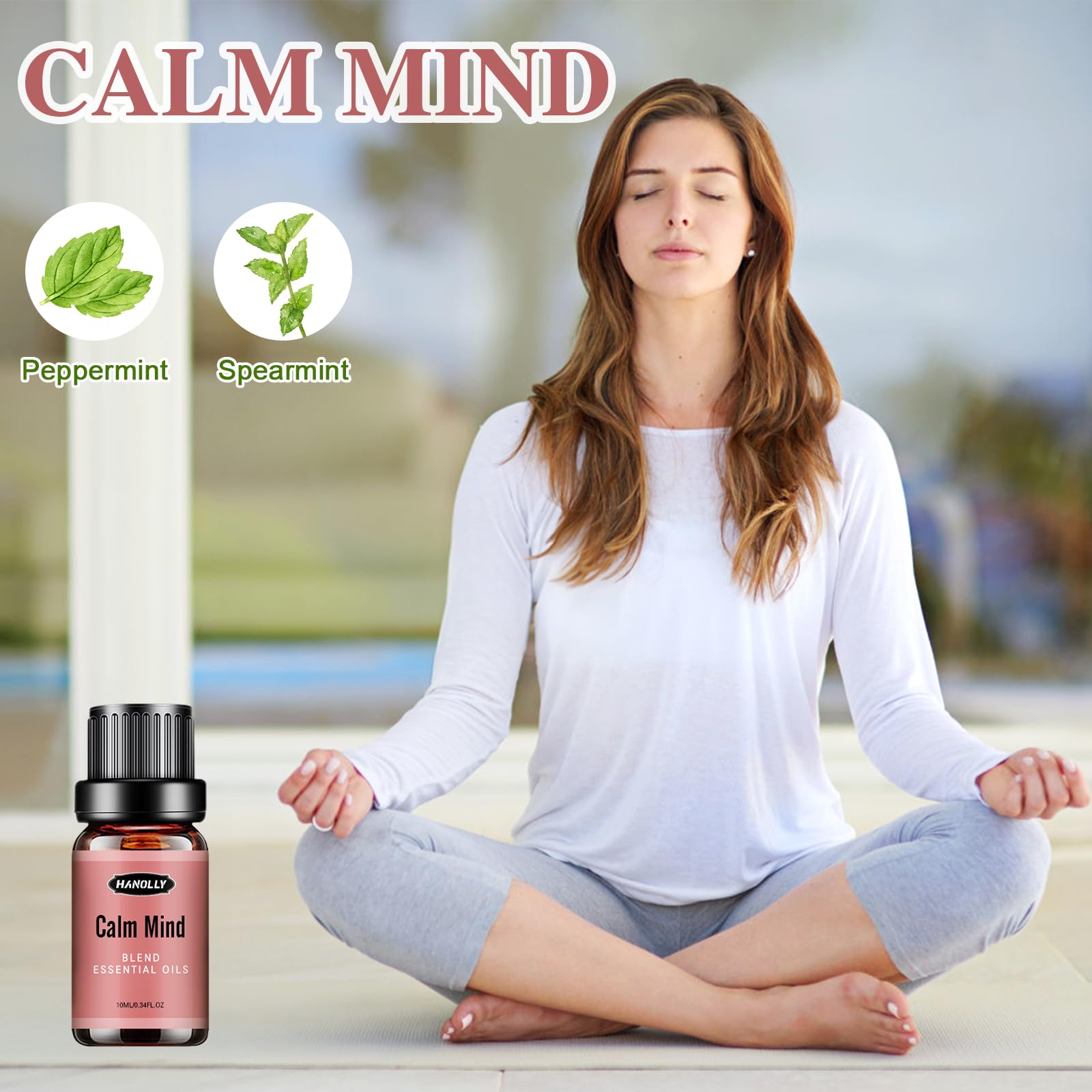 Essential Oils Blend Set, Fragrance Oil Aromatherapy Essential Oils Kit for Diffuser (6x10ML) Hanolly uk supplements