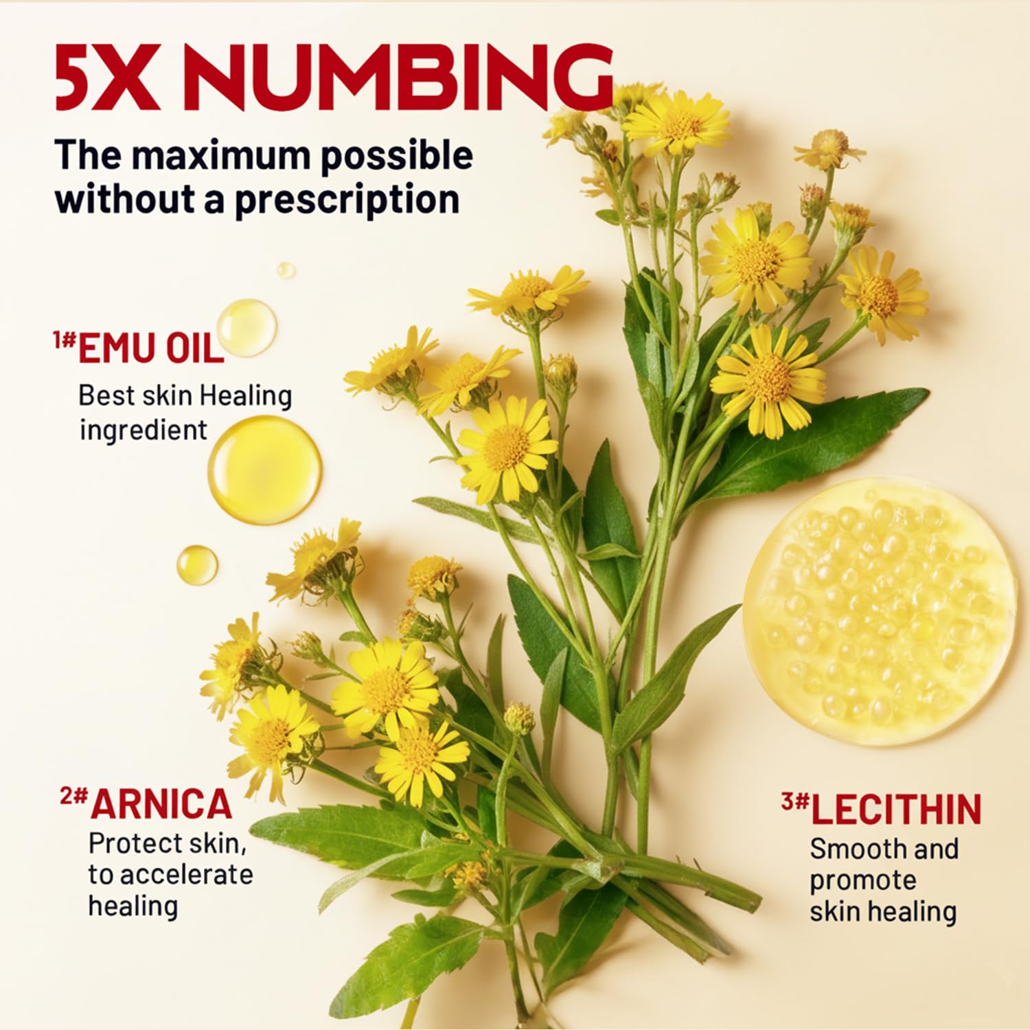 Acolye Numbing Cream Maximum Strength : 5% Lidocaine Topical Anesthetic - Extra Strength 5X Numbing with Menthol Arnica and Emu Oi (2 Fl Oz, Mint Flavor) Acolye uk supplements