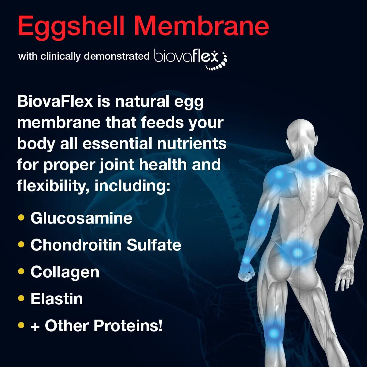 Aurora Nutrascience Micro-Pack Liposomal exoFlex+ with Vitamin C, Supports Joint Flexibility & Function, BiovaFlex Eggshell Membrane, Curcumin & Boswellia, Strwaberry Flavor, 30 Servings, 10 fl oz Vida Lifescience uk supplements