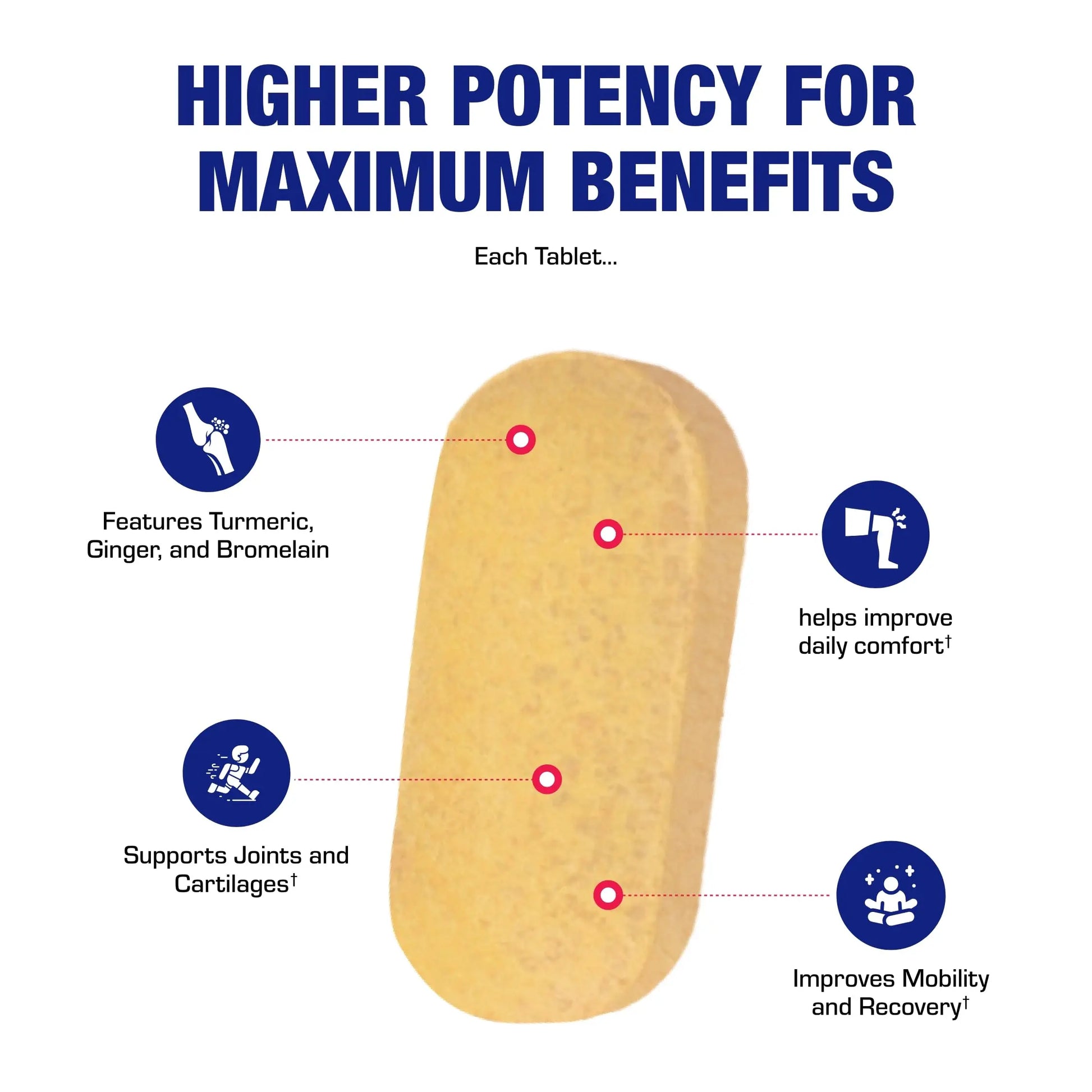 Pro ENZ Joint Support Supplement - Clinical Formula Turmeric Boswellia Supplement for Joint & Cartilage Mobility and Comfort Support Plus Eicosanoid Management with Proteolytic Enzymes (120 Servings) Anabolic Laboratories uk supplements