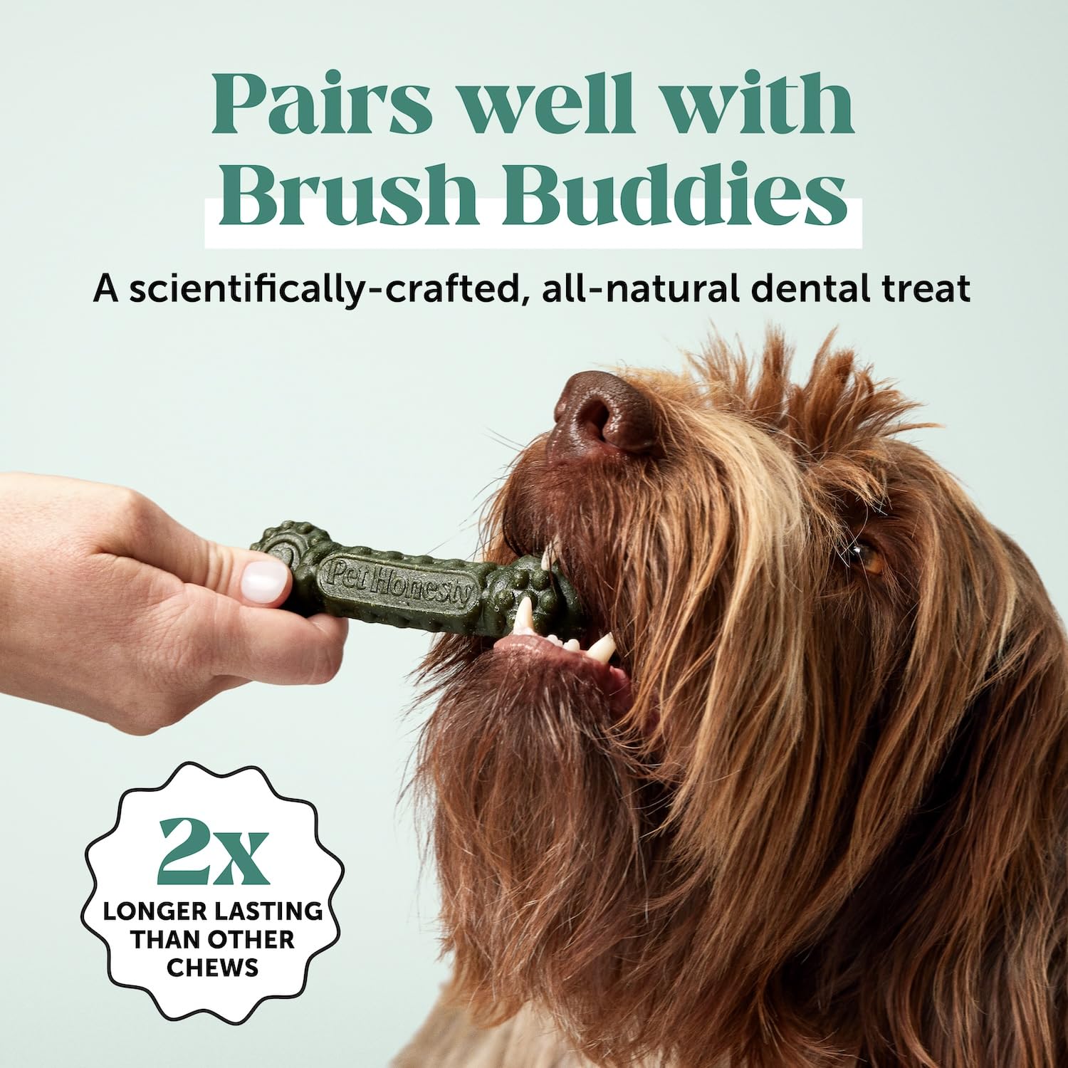 Dog Breath Freshener Dental Powder for Teeth Cleaning Plaque Off, Dental Care for Dogs, Tartar Remover for Teeth with Natural Herbal Blend + Postbiotics (Mint - 30 Servings) Pet Honesty uk supplements