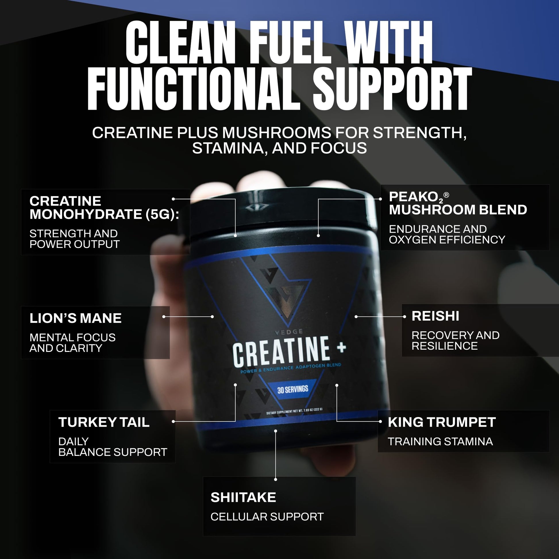 VEDGE Nutrition Creatine + | Vegan Plant-Based Creatine Monohydrate Powder | Energy, Performance & Function | Ergogenic Aids for Athletes | Unflavored, 30 Servings VEDGE uk supplements