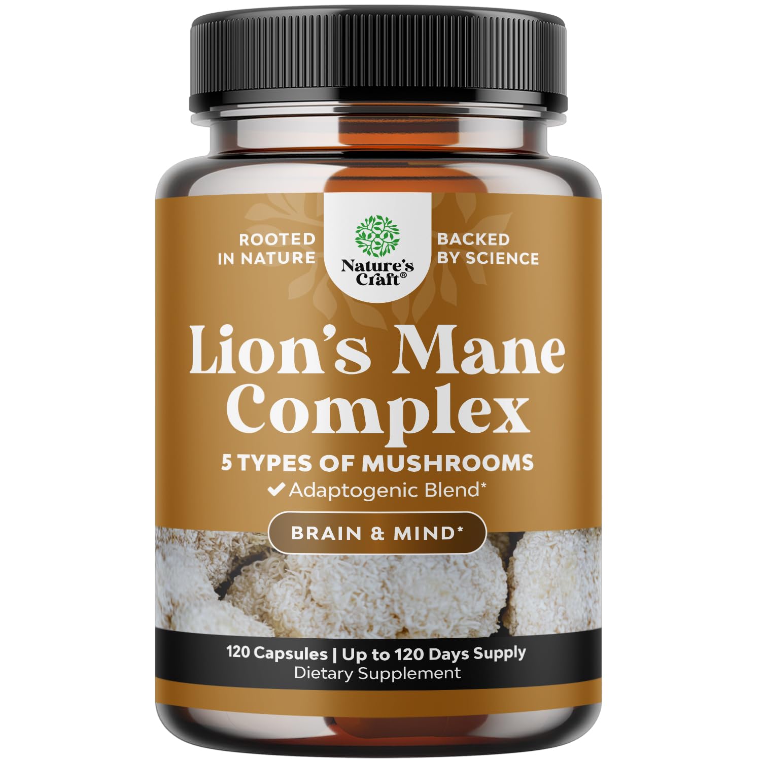 Advanced Lion's Mane Mushroom Supplement - Lions Mane Supplement Capsules with Reishi Chaga Maitake & Shiitake for Brain Health Memory Support & Focus - Nootropic for Mental Clarity - 120 Count Natures Craft uk supplements