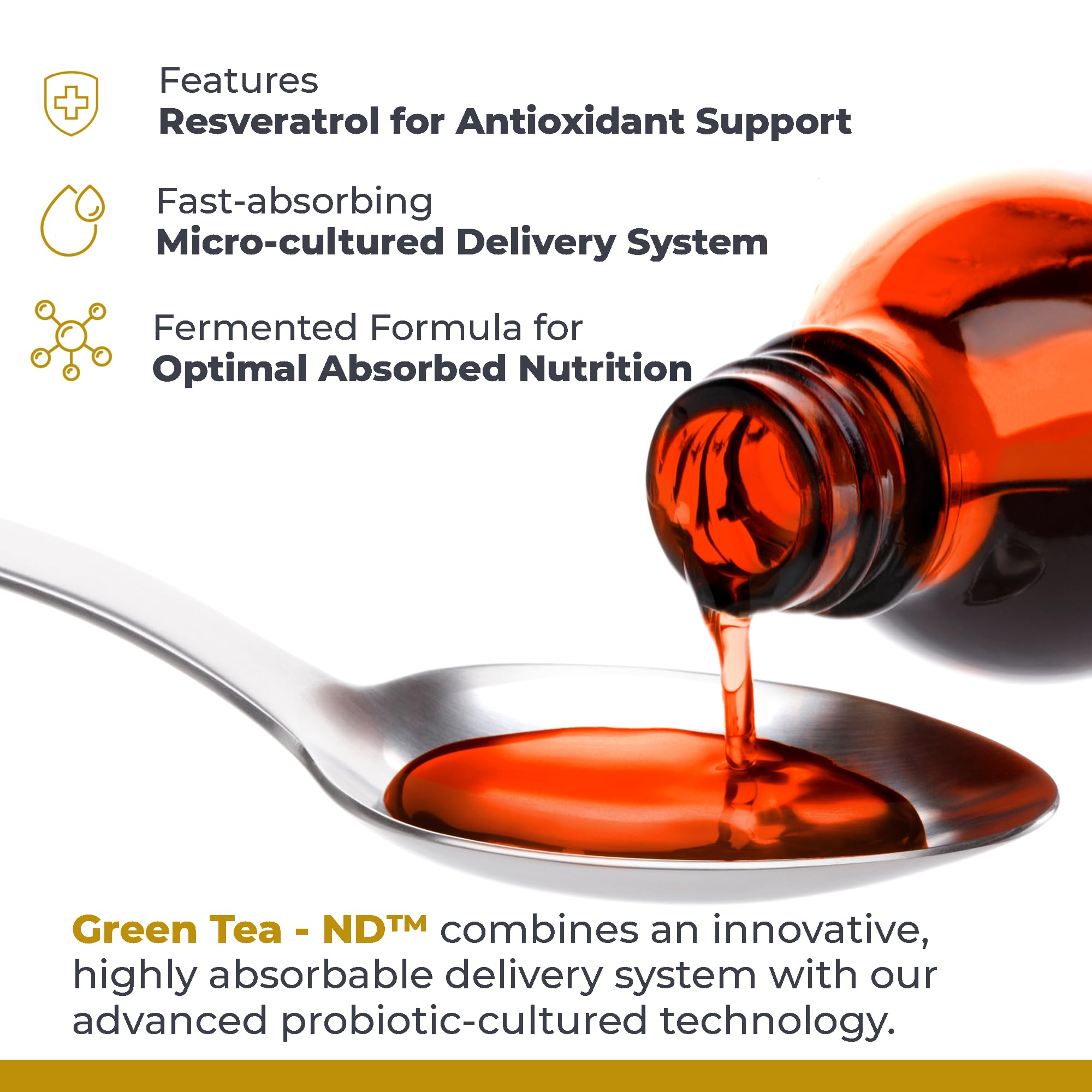 Premier Research Labs Green Tea-ND - Probiotic Fermented Green Tea Extract Supplement with ECGC, Camellia Sinensis Liquid, Supplement Drops for Adults, Vegan Friendly - 8 Fl Oz Bottle Premier Research Labs uk supplements
