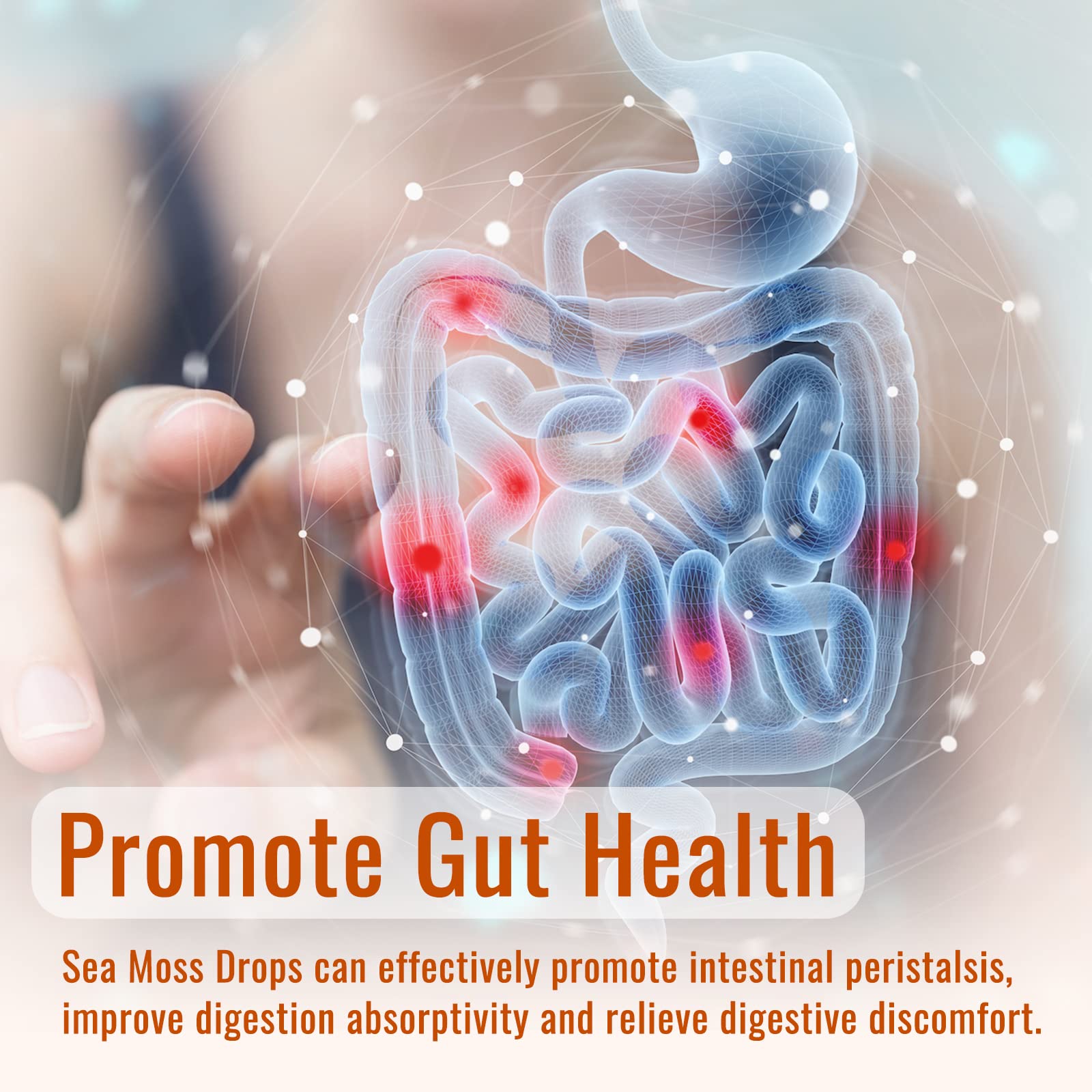 Sea Moss Liquid Drops: Organic Irish Sea Moss 2500mg with Turmeric, Bladderwrack dilib uk supplements