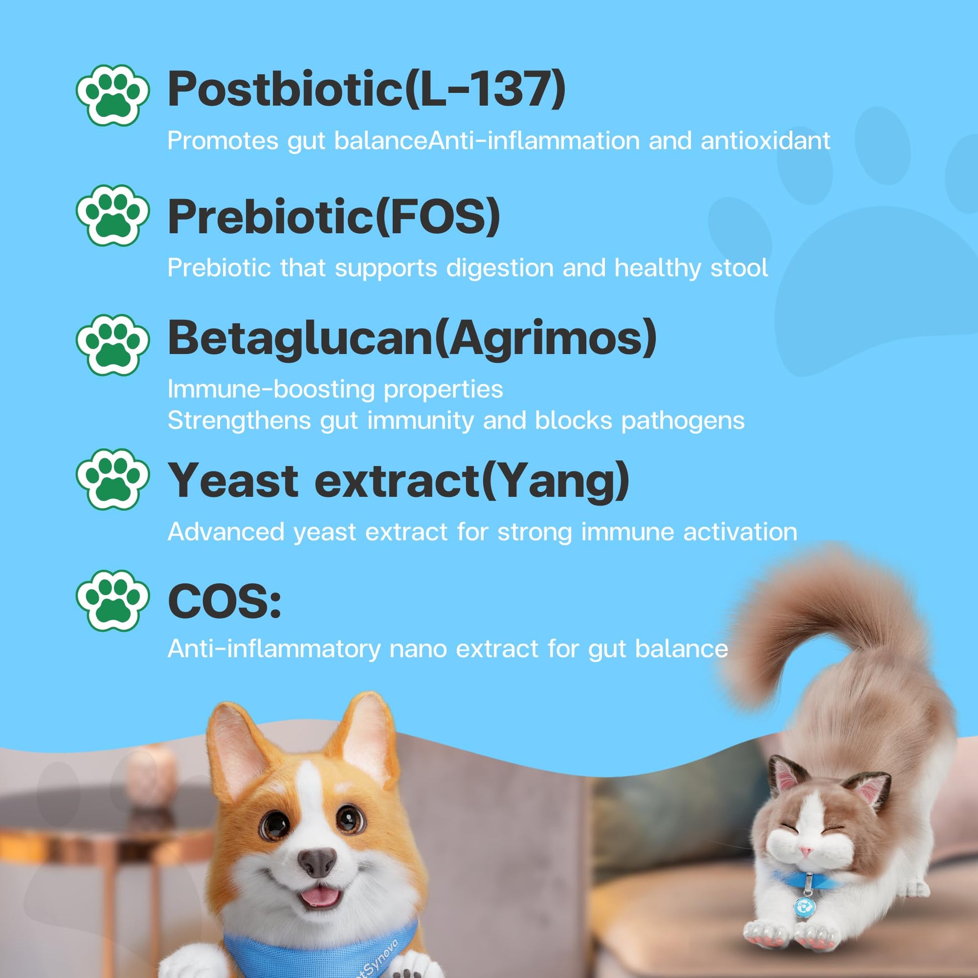 VFcare BIO Supplement for Cats & Dogs – Anti Diarrhea for Dogs, Gut Health Paste with Postbiotics, Prebiotics, FOS, L-137, Yeast Extract – Anti Diarrhea for Dogs, 30 Sachets VFCARE uk supplements