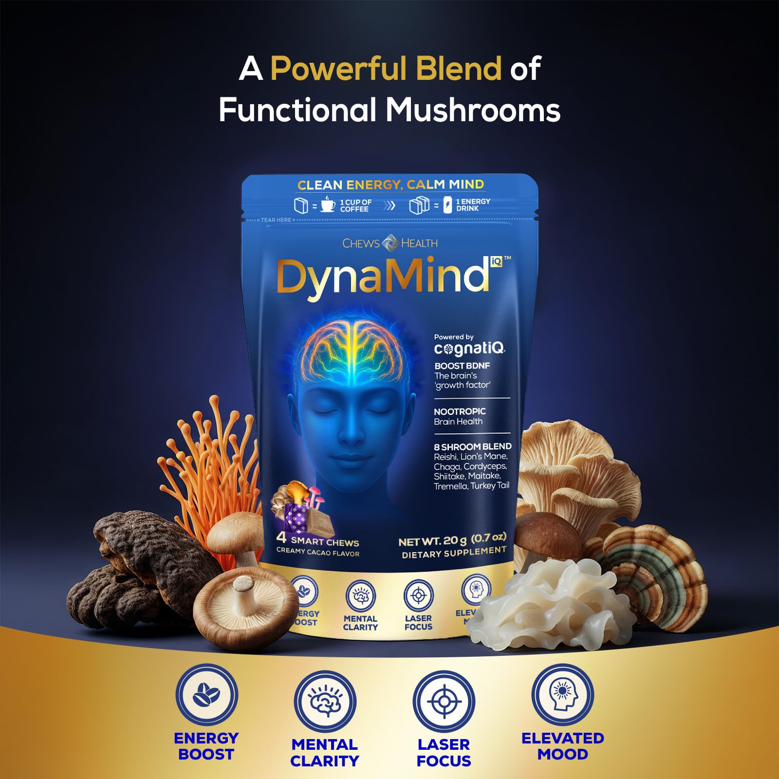 DynaMind iQ Brain Supplement for Memory and Focus for Adults - Nootropic Chews | Coffee Fruit & Mushroom Supplement Blend, Memory Focus Supplement, Caffeine Focus Pills Alternative, 4 Count CHEWSHEALTH uk supplements