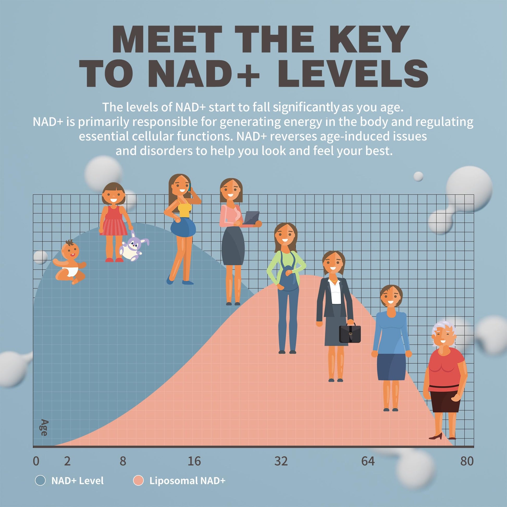 NIUSISE NAD Gummies Sugar Free, NAD+ Supplement with Liposomal Nicotinamide Riboside, Resveratrol, Quercetin, NAD Supplement for Anti-Aging, Energy, Cellular Health, Blueberry Flavor, 60 Gummies NIUSISE uk supplements