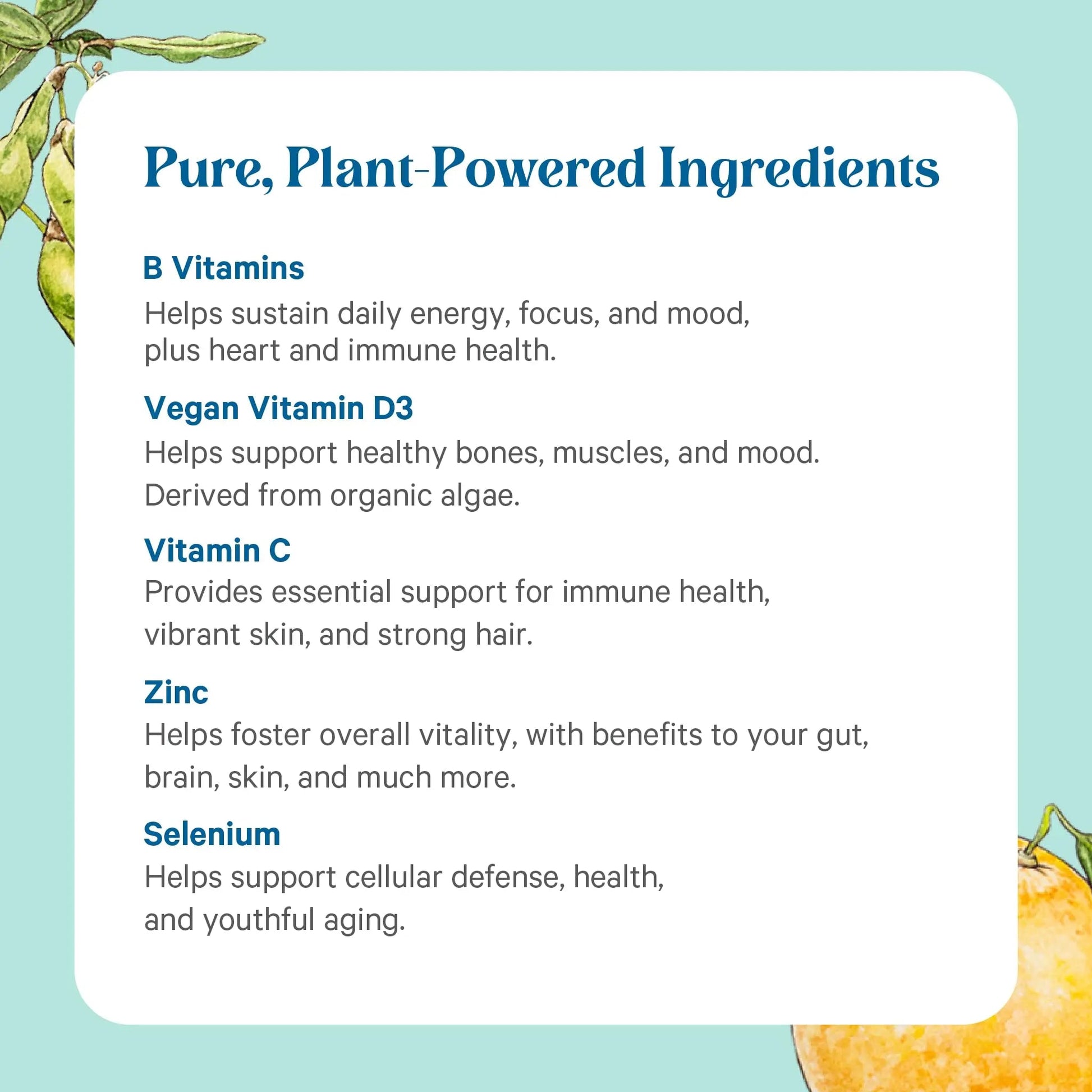 PURE SYNERGY Multi·Vita·Min | Vegan Multivitamin Made with Organic Whole Foods | Twice Daily Supplement for Men and Women PURE SYNERGY uk supplements
