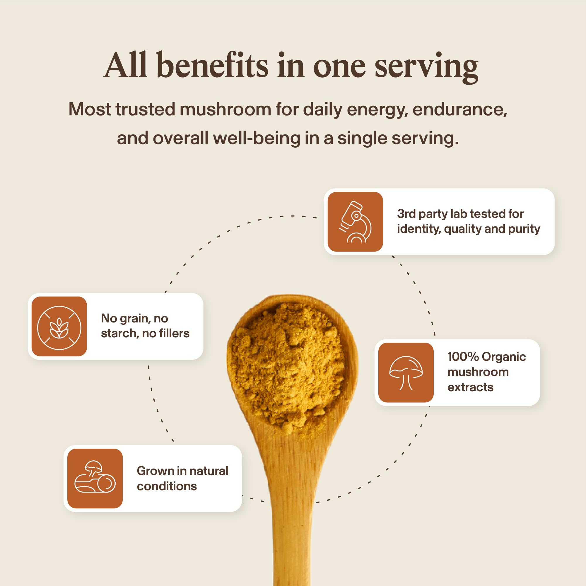 Real Mushrooms Capsules Supplements - Organic Cordyceps Mushroom Powder in Capsules - Energy and Performance Mushrooms with Verified Beta Glucans - Vegan, Non-GMO, 300 Capsules Real Mushrooms uk supplements