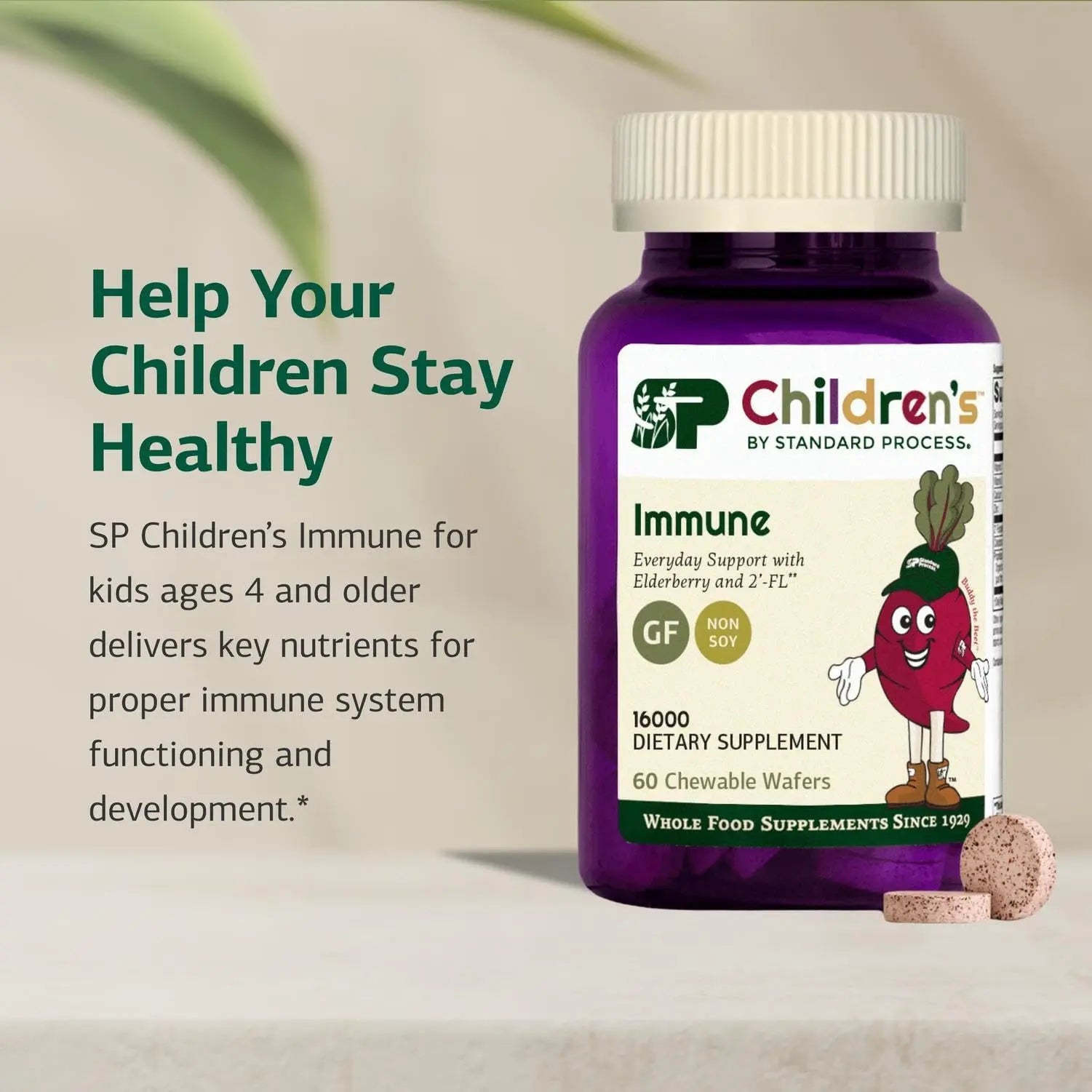 Standard Process Inc. Children's Immune - 60 Wafers Standard Process Inc. uk supplements