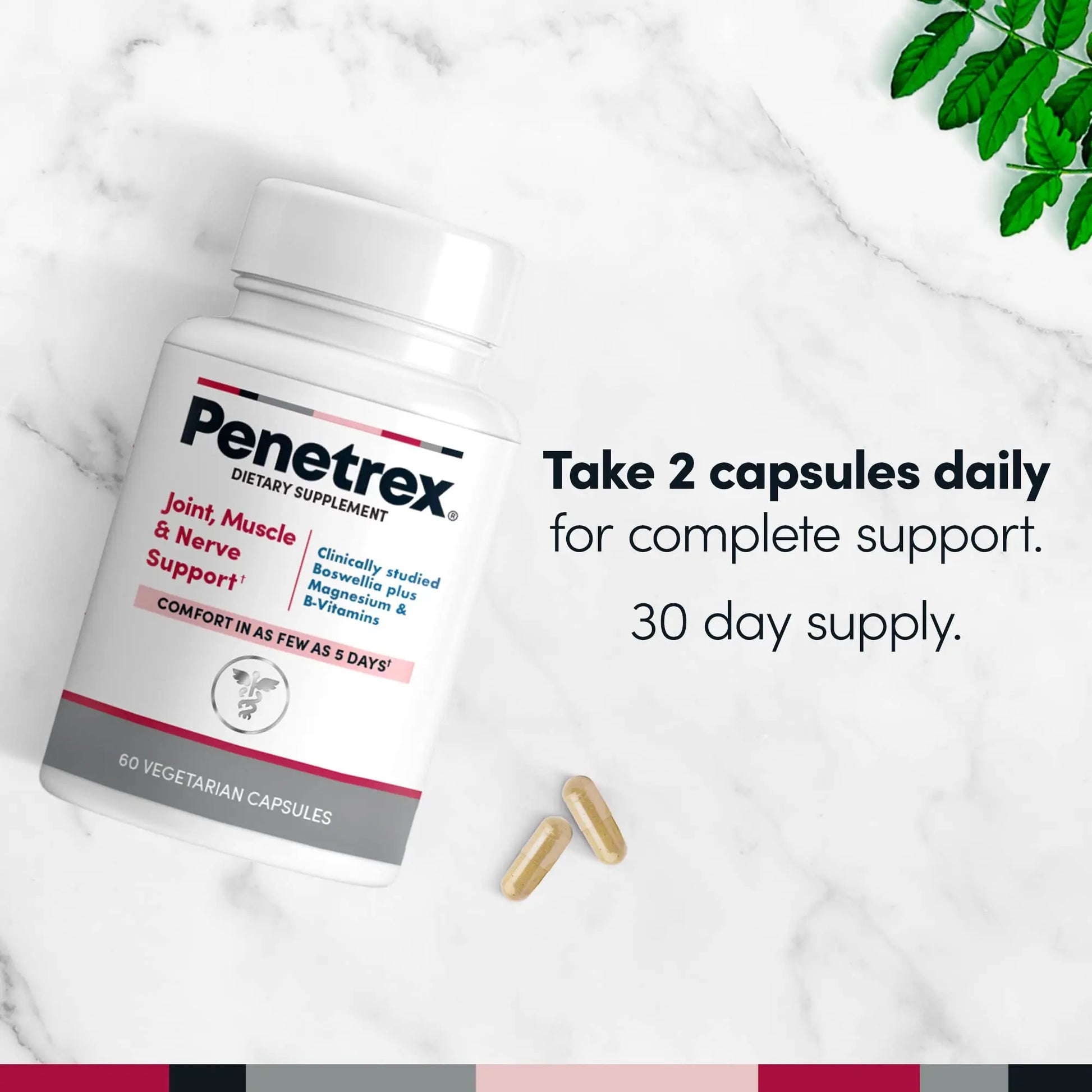 Penetrex Joint, Muscle and Nerve Support Supplement with 3 oz Joint & Muscle Therapy Roll-On Gel Penetrex uk supplements