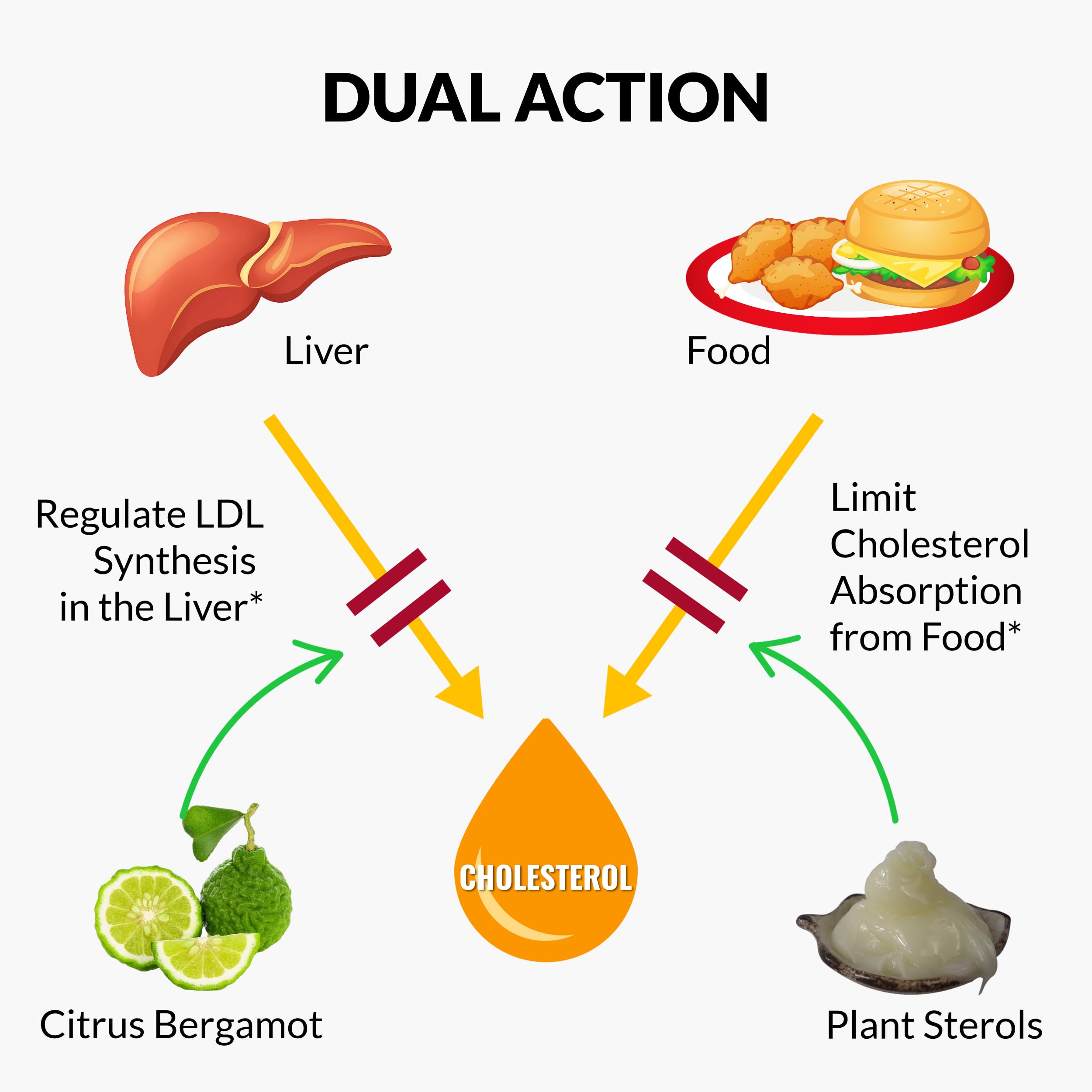 UpNourish Plant Sterols Citrus Bergamot Supplement for High Cholesterol with CoQ10, Omega 3, Olive Leaf, Turmeric Curcumin, Black Garlic and Niacin - 120 Softgels UpNourish uk supplements