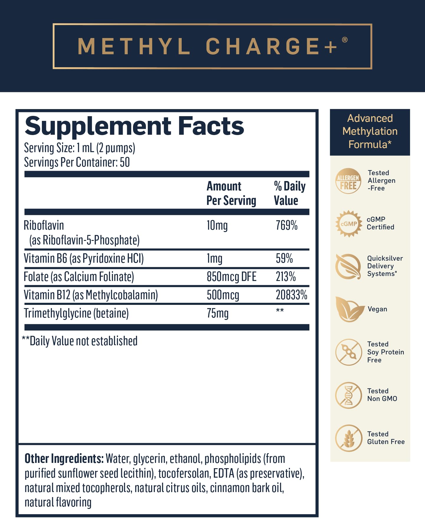 Quicksilver Scientific Methyl Charge - Methylation, Liver, Detox + Energy Supplement - Folate, Vitamin B12, Riboflavin, Vitamin B6 + TMG Supplement with Superior Absorption - Vegan B Vitamins (50ml) Quicksilver Scientific uk supplements