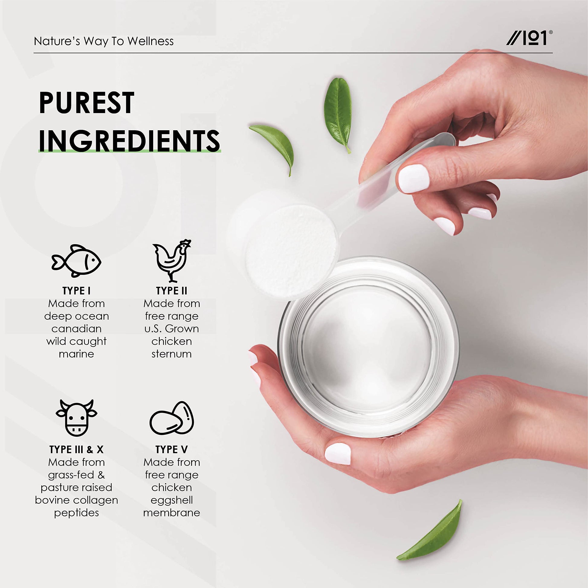 Multi Collagen Protein Powder (400g) - Types I, II, III, V & X - Hydrolyzed Grass Fed Bovine, Wild Caught Fish ALPHA01 uk supplements