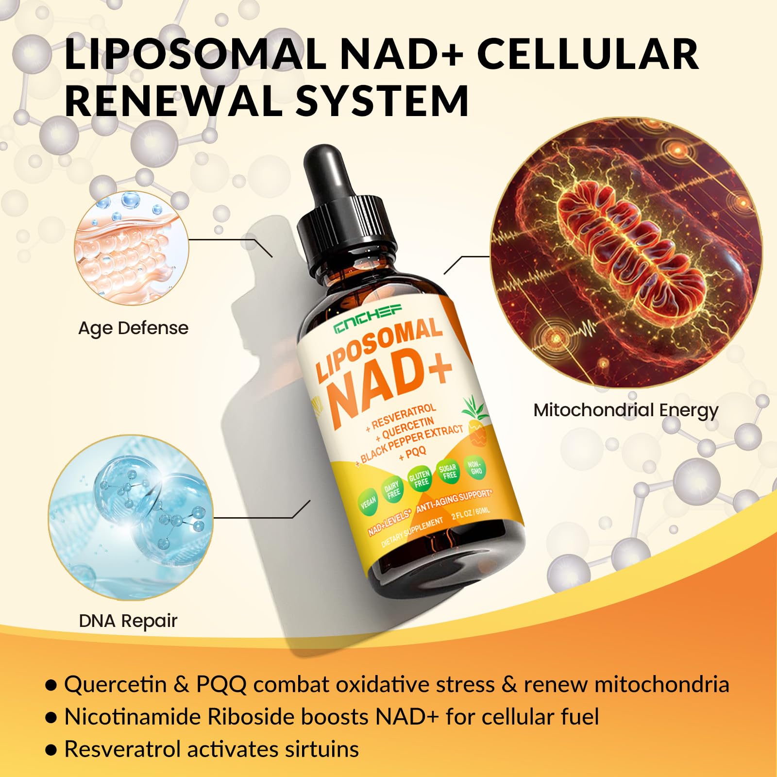 CNCHEF Liposomal NAD Supplement - 1500mg NAD+ Liquid Drop for Women & Men Nicotinamide Riboside Chloride & Resveratrol Complex - Cellular Renewal, Anti-Aging Support - 30 Servings (2 fl oz) CNCHEF uk supplements