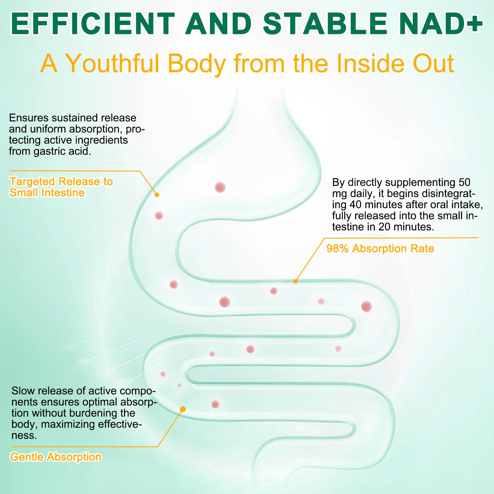 NAD Supplement 120 Capsules, Liposomal Nicotinamide Riboside, Resveratrol, Quercetin, NAD Nicotinamide Riboside Resveratrol 910mg for Women & Men, NAD Supplement for Anti Aging and Cell Regeneration KZUO uk supplements