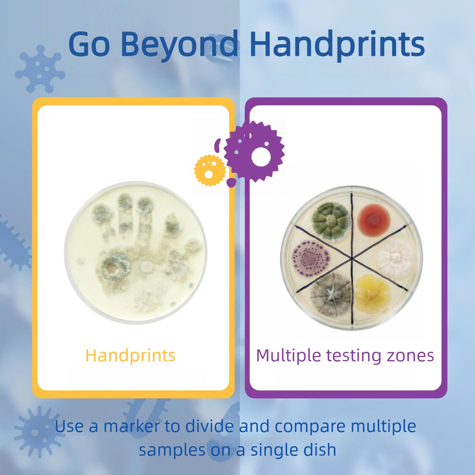 Giant Microbiology Bacteria Science Kit for Kids:2 XL 150mm Prepoured Nutrient Agar Plates, Petri Dishes with Agar & Colony Characteristics Poster for School Projects & Educational Gifts Mosynex uk supplements