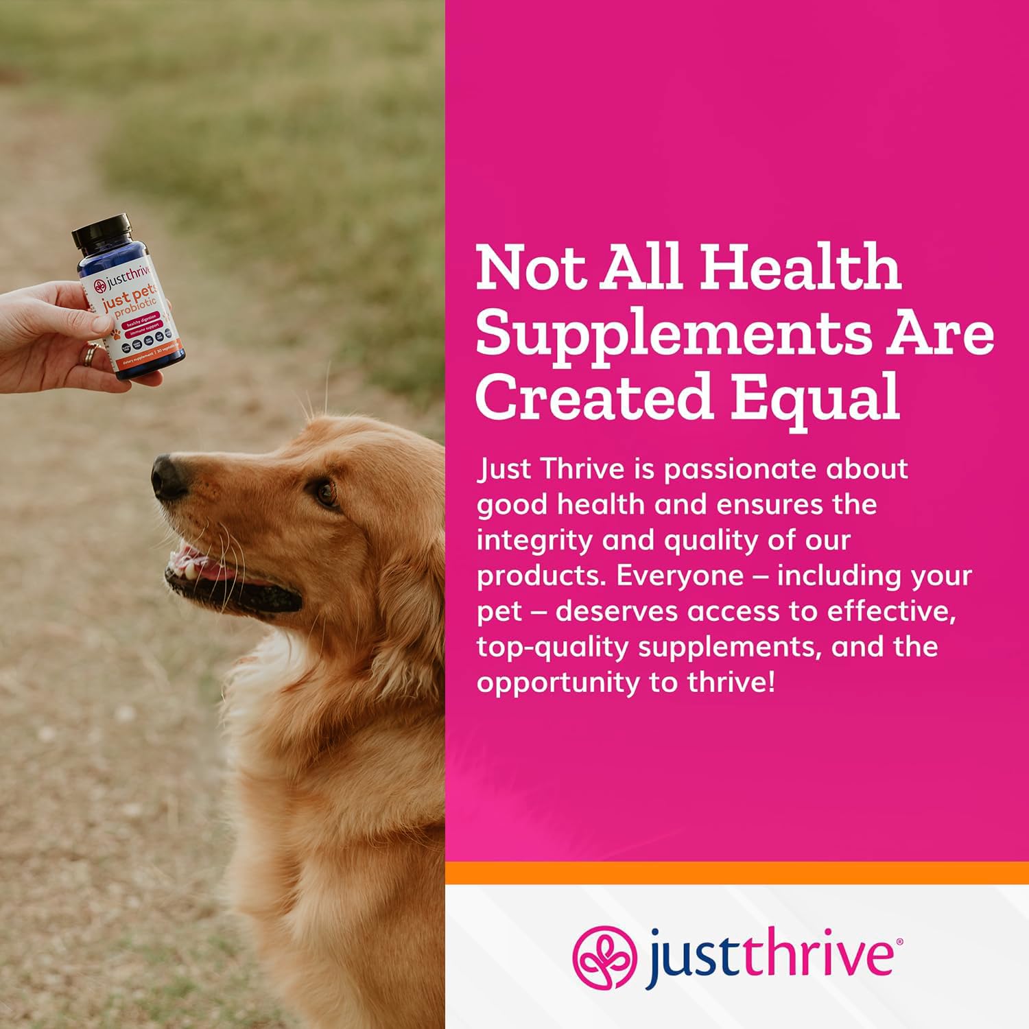 Just Thrive Just Pets Probiotic - Daily Digestive Probiotics for Dogs and Cats - 4 Billion CFUs Pet Probiotic, 30 Capsules Just Thrive uk supplements