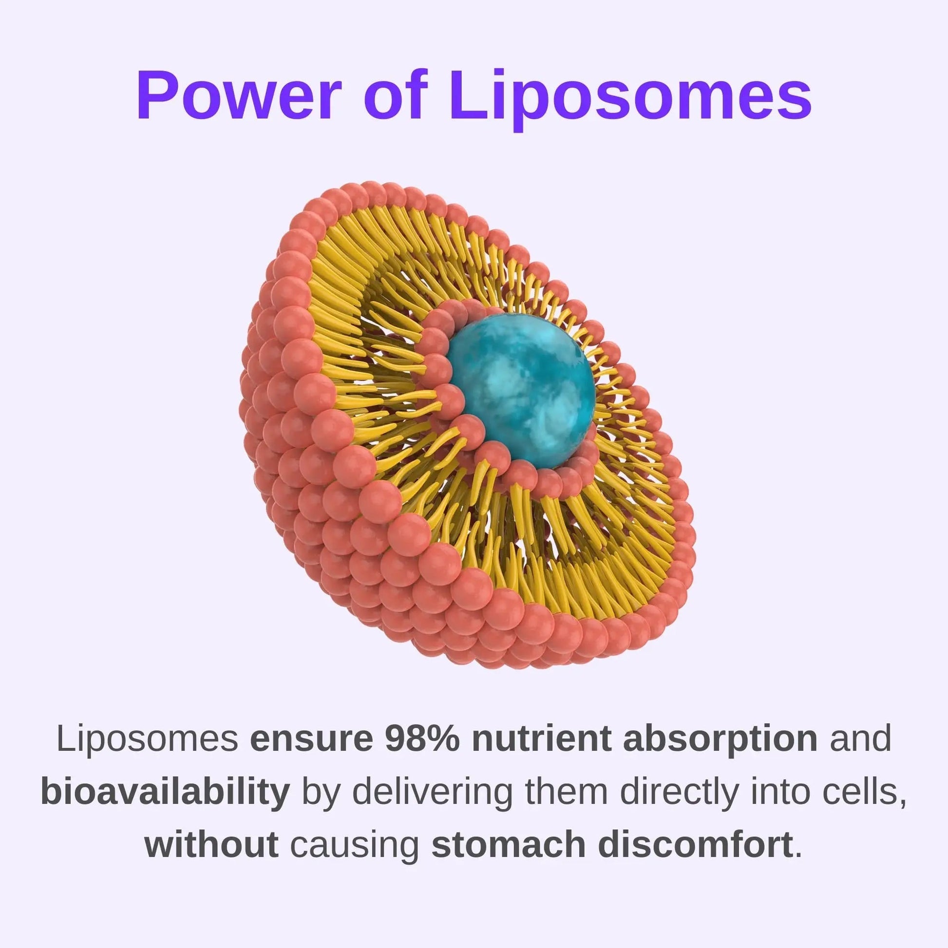 Vitaminally Women's Multivitamin liposomal Liquid Drops with Iron | 30 Day Supply | 3 FL Oz | Non-GMO | Gluten Free | Supports Overall Health, Energy and Beauty Vitaminally uk supplements