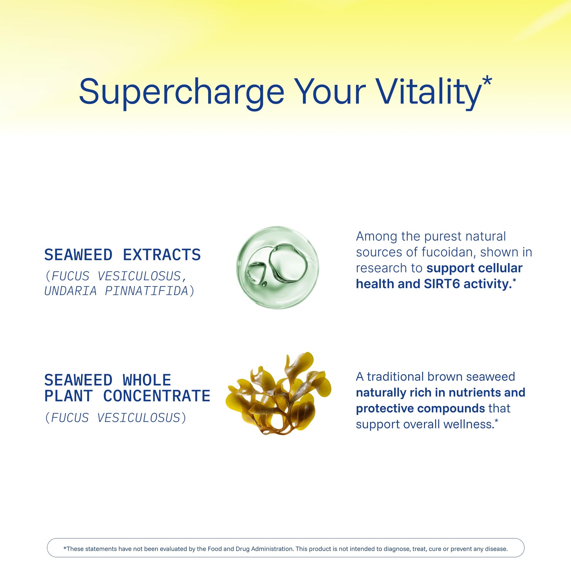 ProHealth Sirtuin 6 Activator | 60 Capsules | Fucoidan-Rich Seaweed Extract to Activate SIRT6 for Longevity, DNA & Cellular Support | Triple Lab-Tested, GMP-Manufactured in USA ProHealth uk supplements