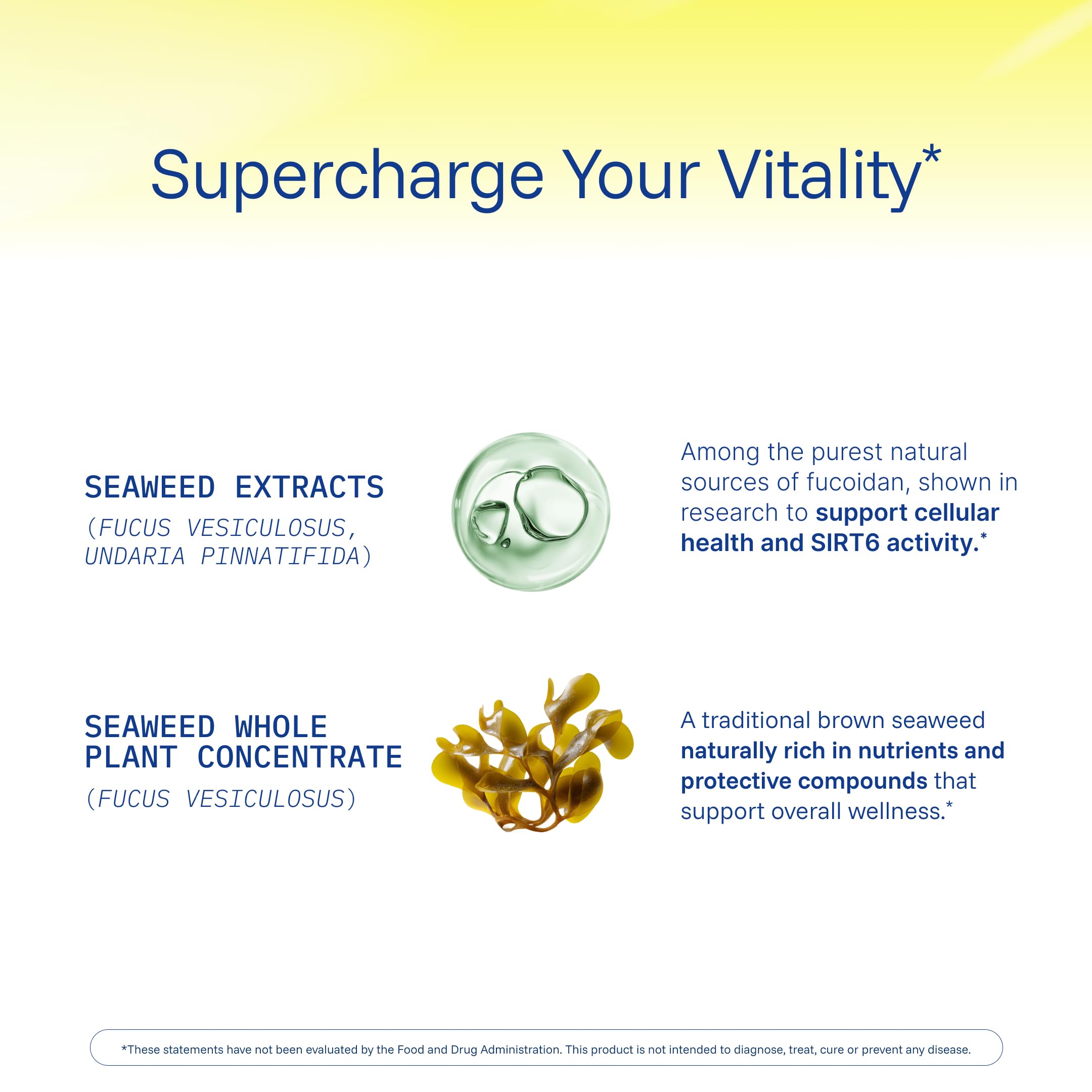 ProHealth Sirtuin 6 Activator | 60 Capsules | Fucoidan-Rich Seaweed Extract to Activate SIRT6 for Longevity, DNA & Cellular Support | Triple Lab-Tested, GMP-Manufactured in USA ProHealth uk supplements
