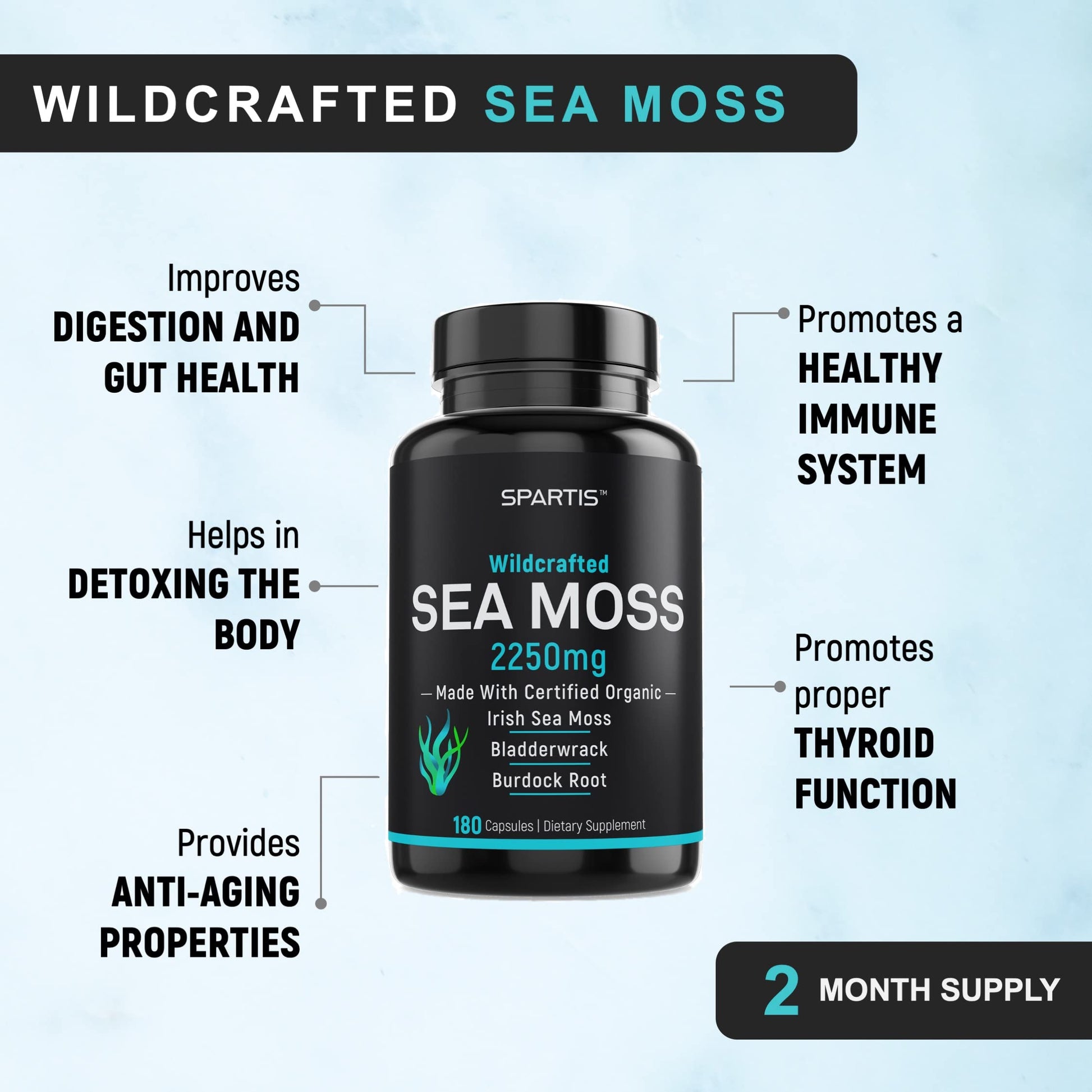SPARTIS Certified Organic Sea Moss Capsules 2250mg Wildcrafted Irish Sea Moss Burdock Root Bladderwrack Supplement Raw Seamoss Pills & Powder (Pack of 1 at 180-Caps) SPARTIS uk supplements