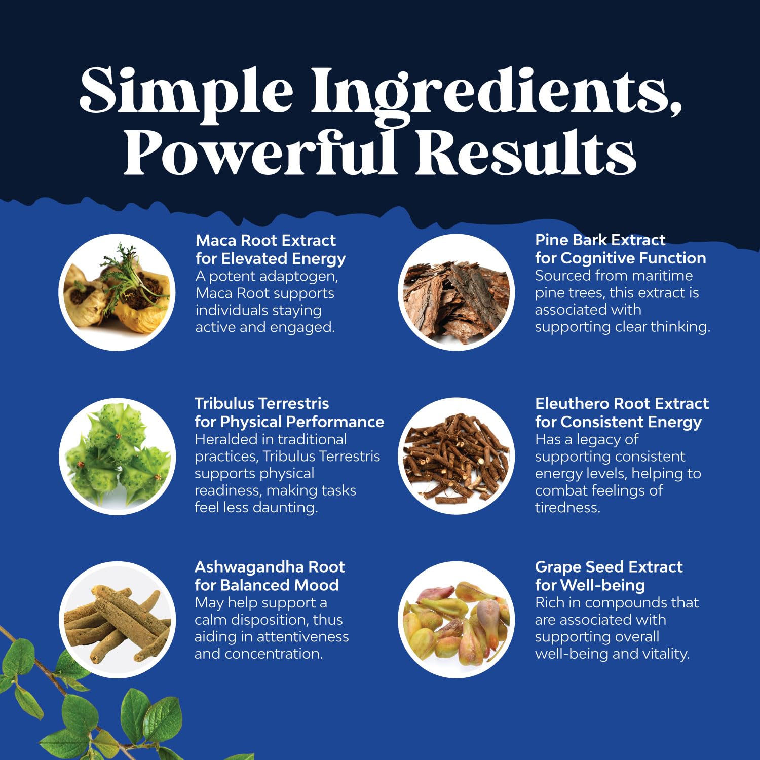 Potent Black Maca Root Capsules for Men - Herbal Wellness Supplement with Siberian Ginseng Ashwagandha and Black Maca Root - Men’s Wellness Supplement to Support General Health - 120 Count Natures Craft uk supplements