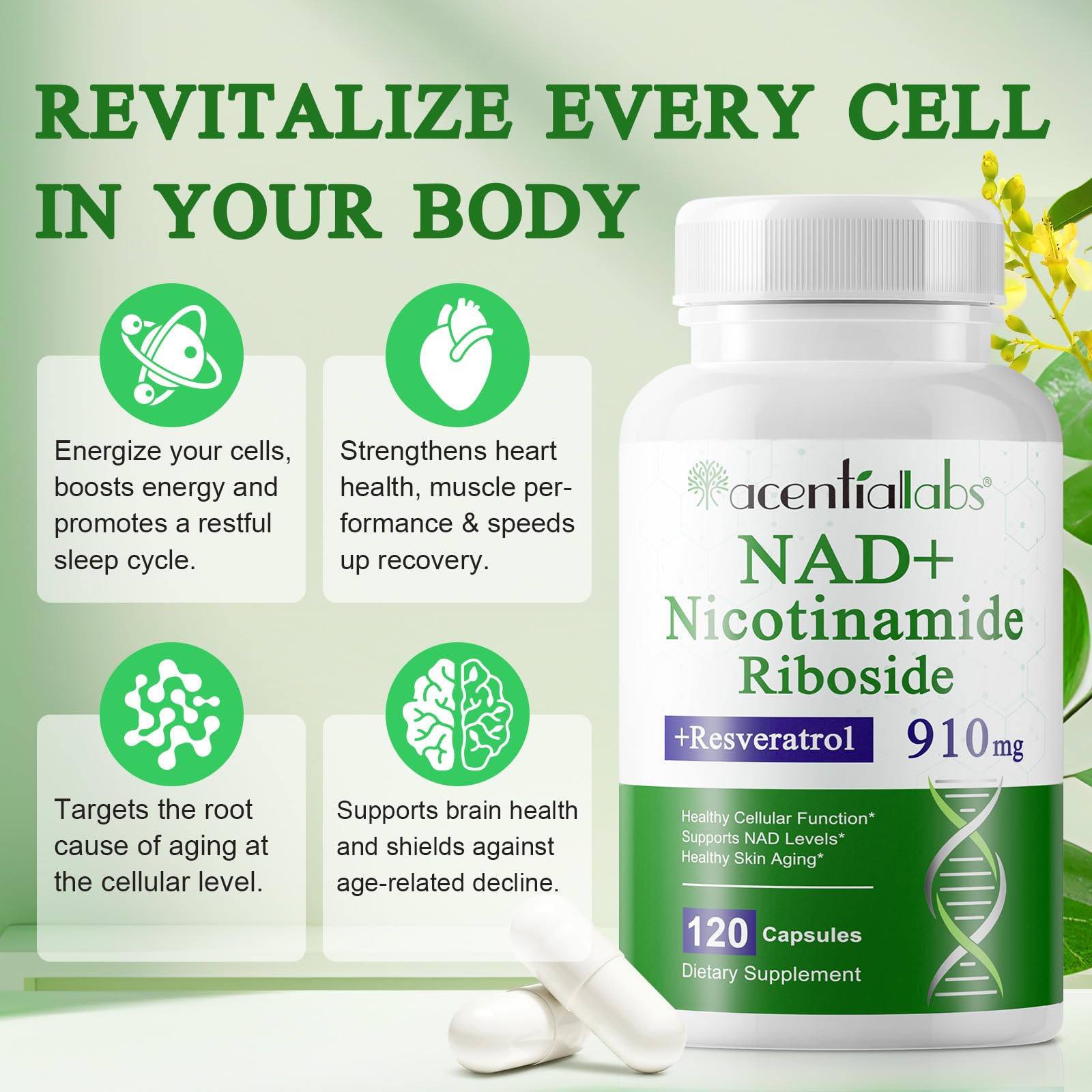 XINSZLIN NAD Supplement, NAD Nicotinamide Riboside Resveratrol 910mg, High Purity NAD Supplement for Healthy Cellular Function, Supports NAD Levels Healthy Skin Aging Dietary Supplement 120 Capsules XINSZLIN uk supplements
