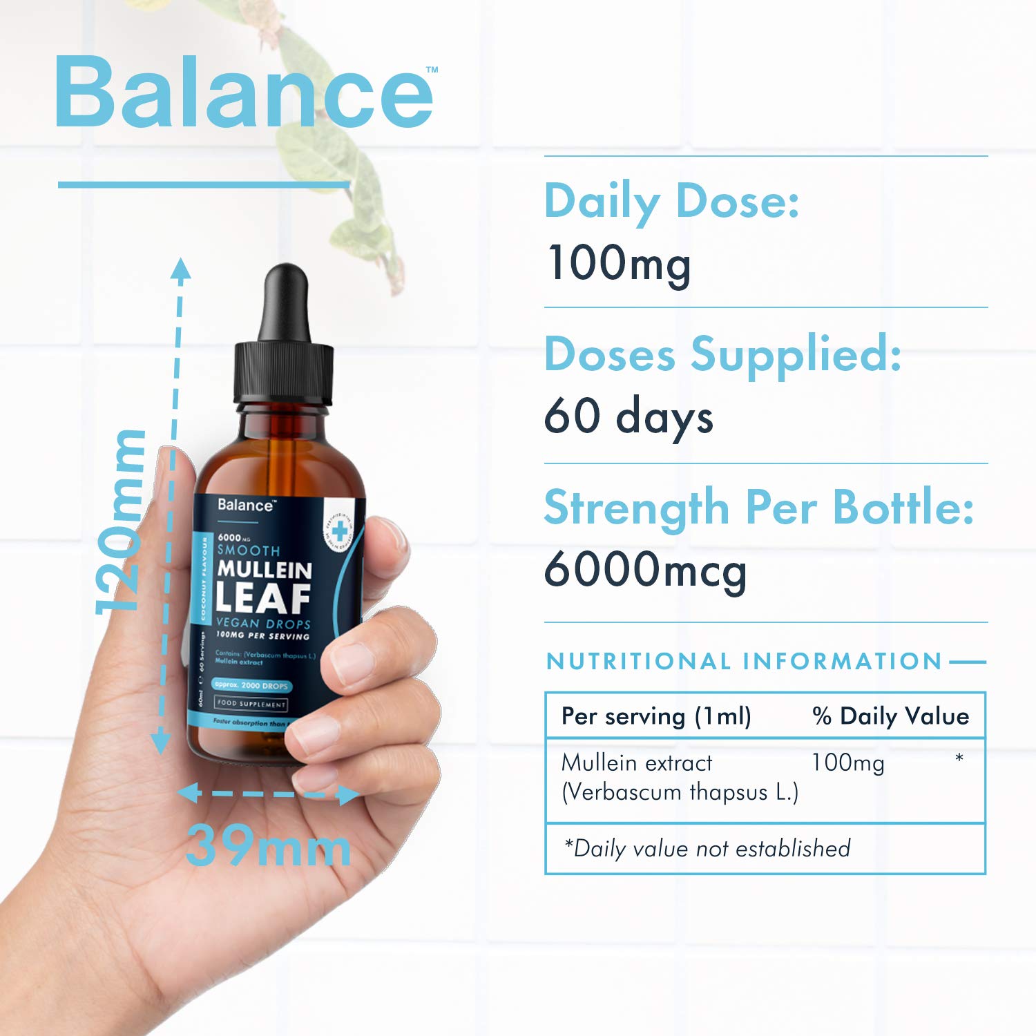 Balance Mullein Leaf Liquid Drops - 60ml for 2 Month Supply - High Strength - Vegan Balance uk supplements
